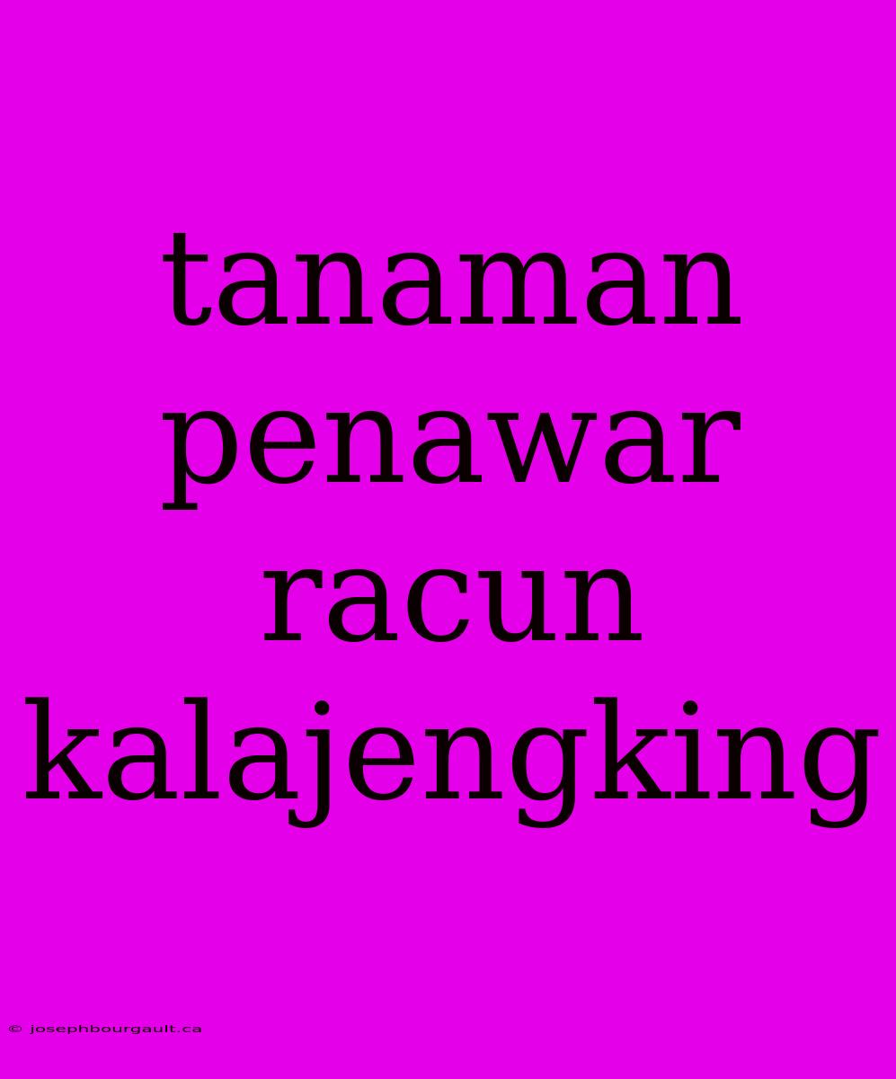 Tanaman Penawar Racun Kalajengking