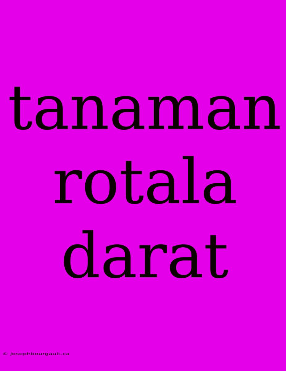 Tanaman Rotala Darat