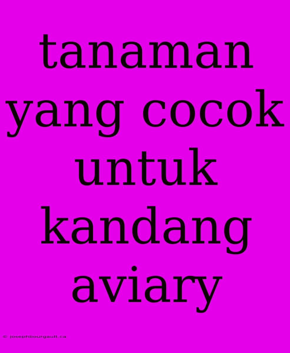 Tanaman Yang Cocok Untuk Kandang Aviary