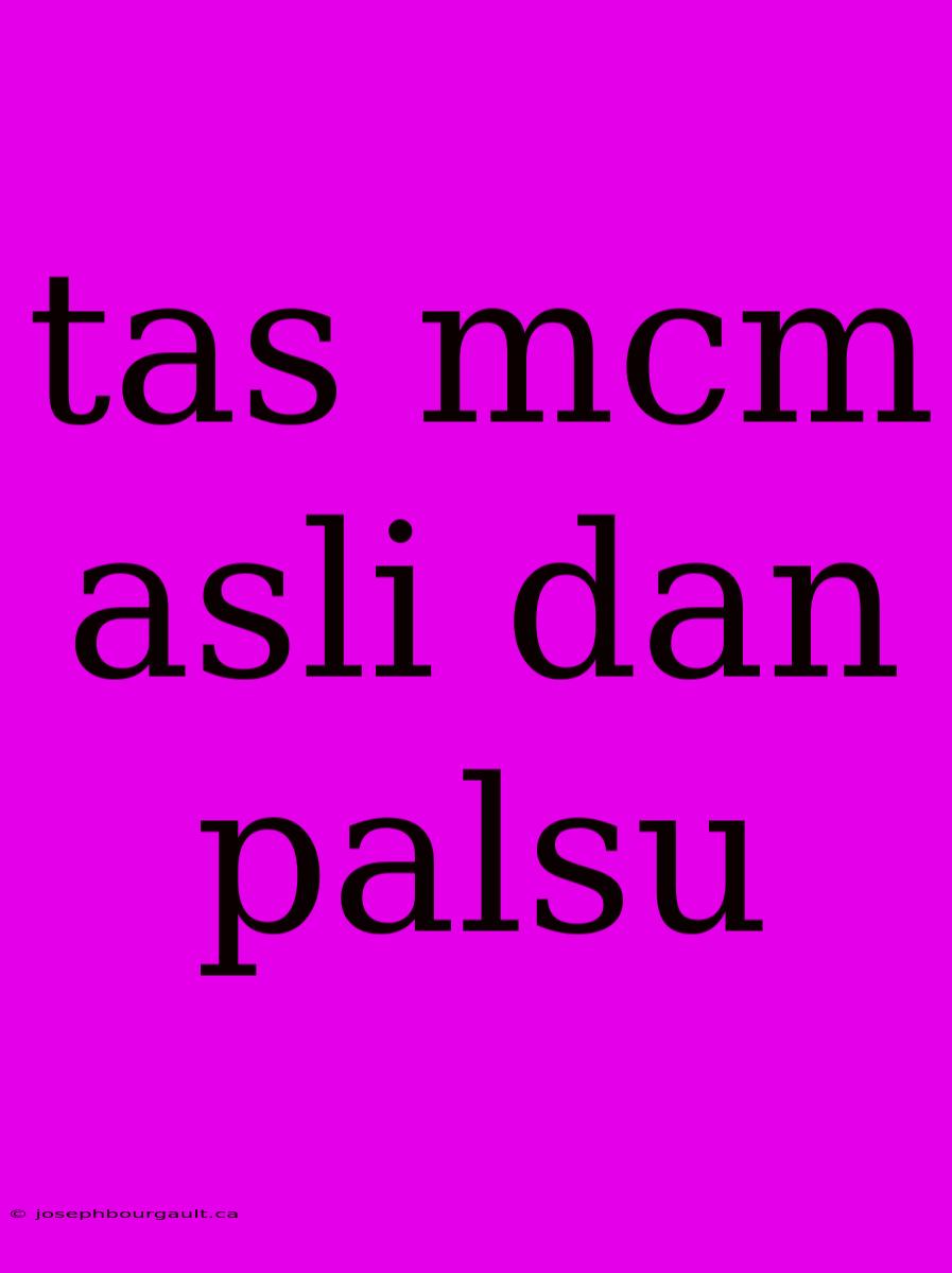 Tas Mcm Asli Dan Palsu