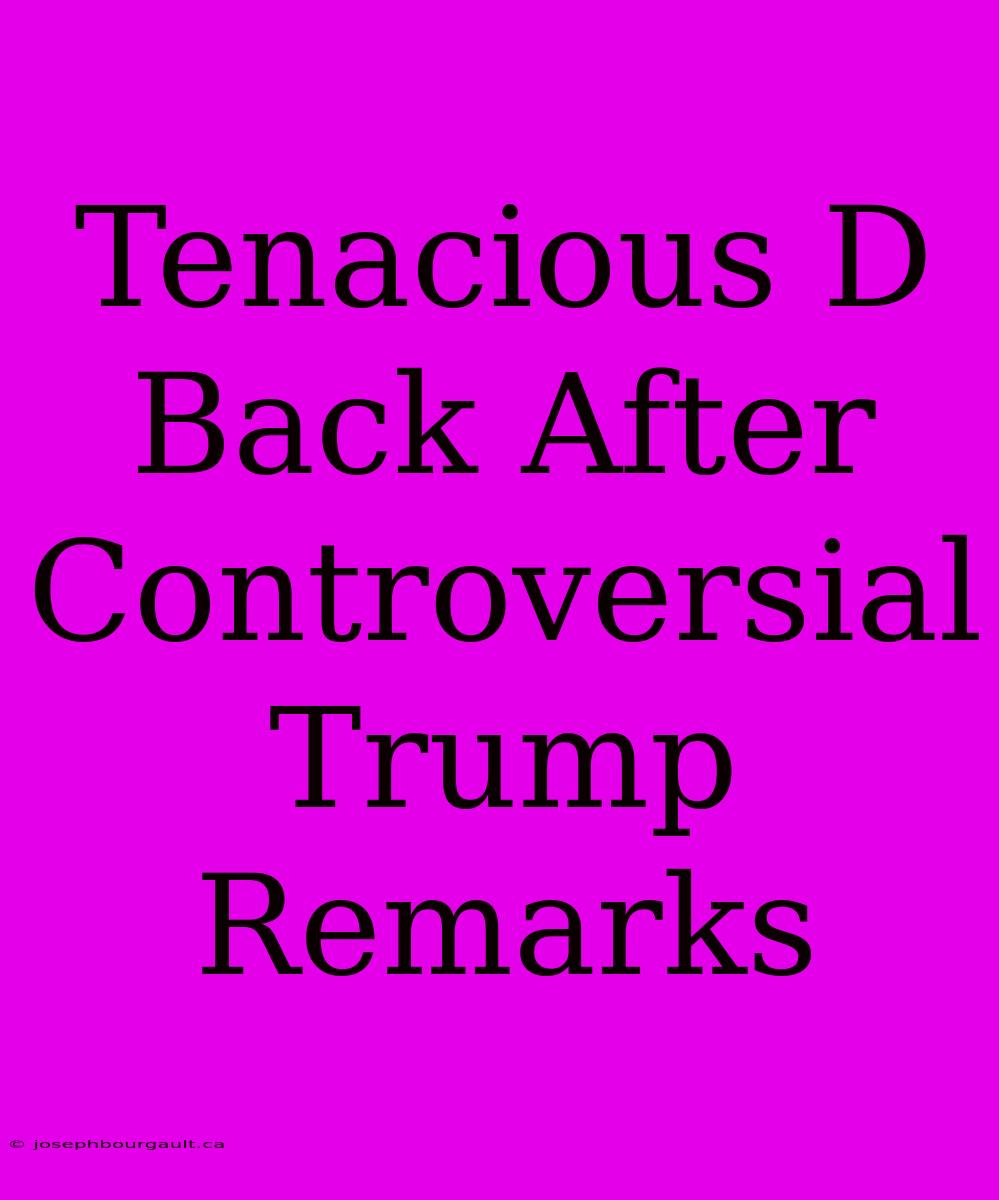 Tenacious D Back After Controversial Trump Remarks