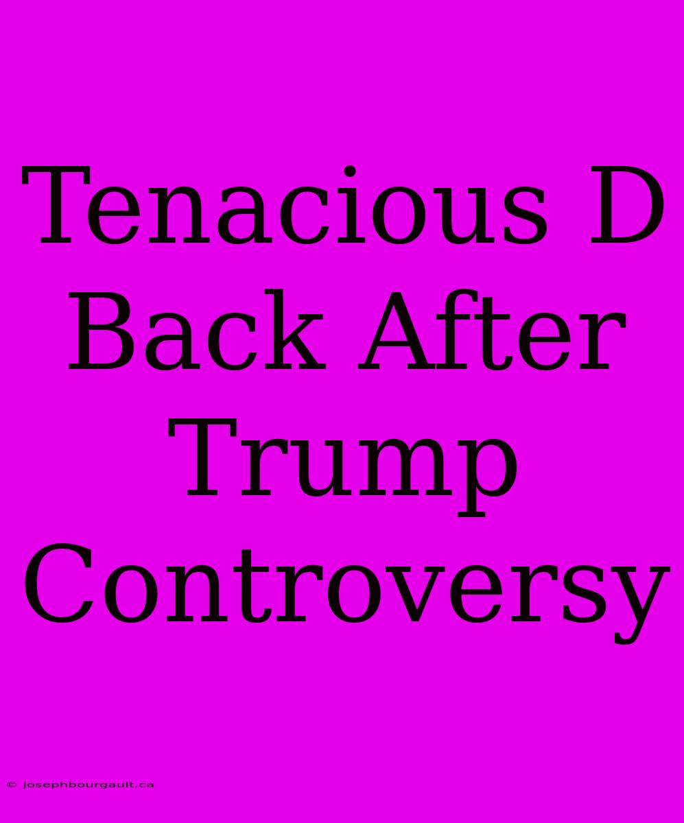 Tenacious D Back After Trump Controversy