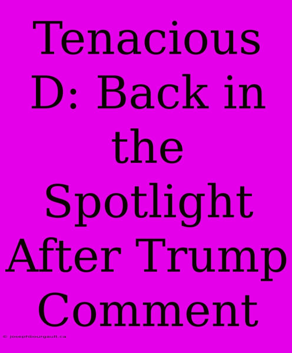 Tenacious D: Back In The Spotlight After Trump Comment