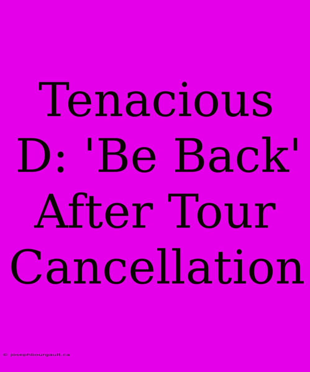 Tenacious D: 'Be Back' After Tour Cancellation