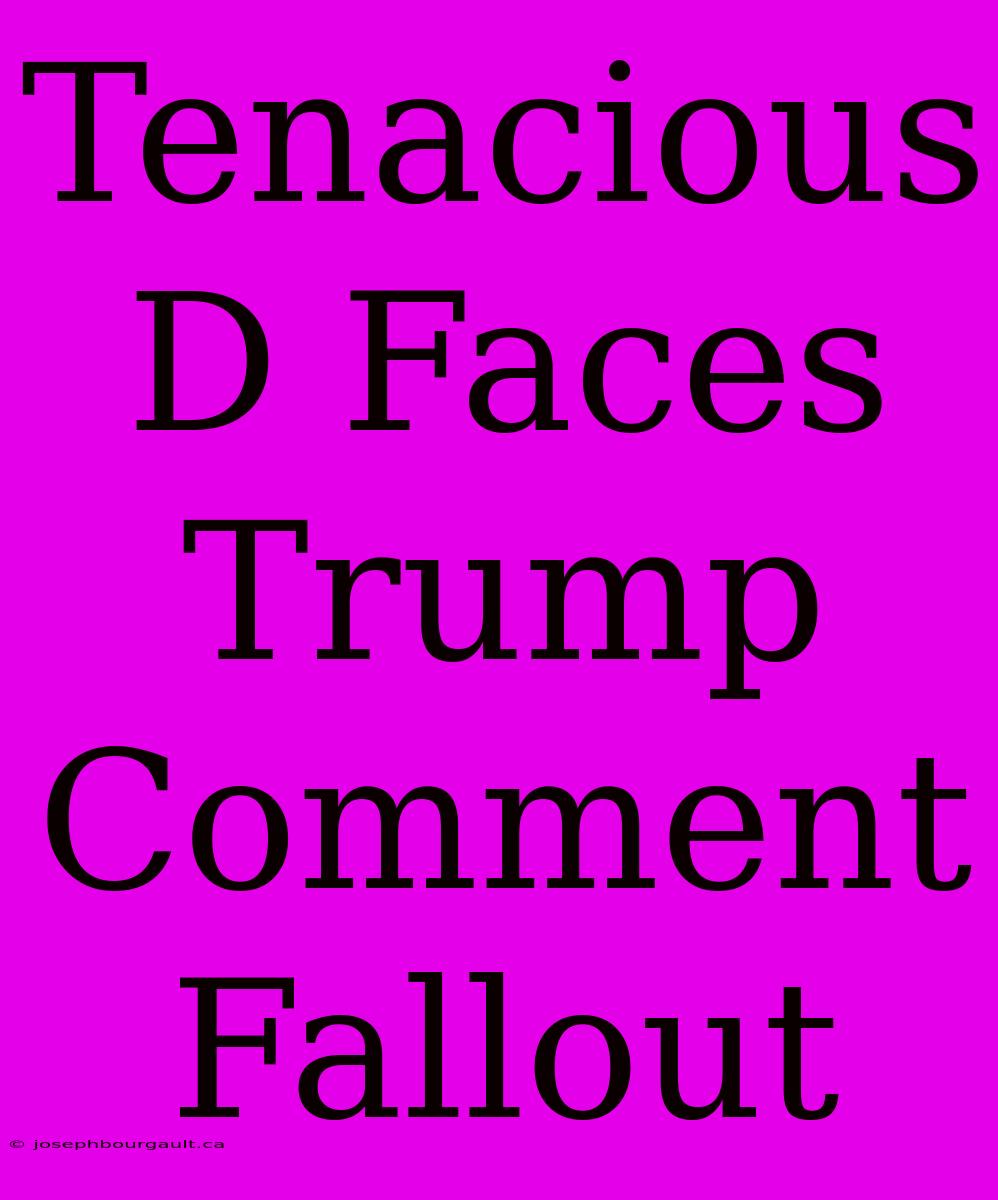 Tenacious D Faces Trump Comment Fallout