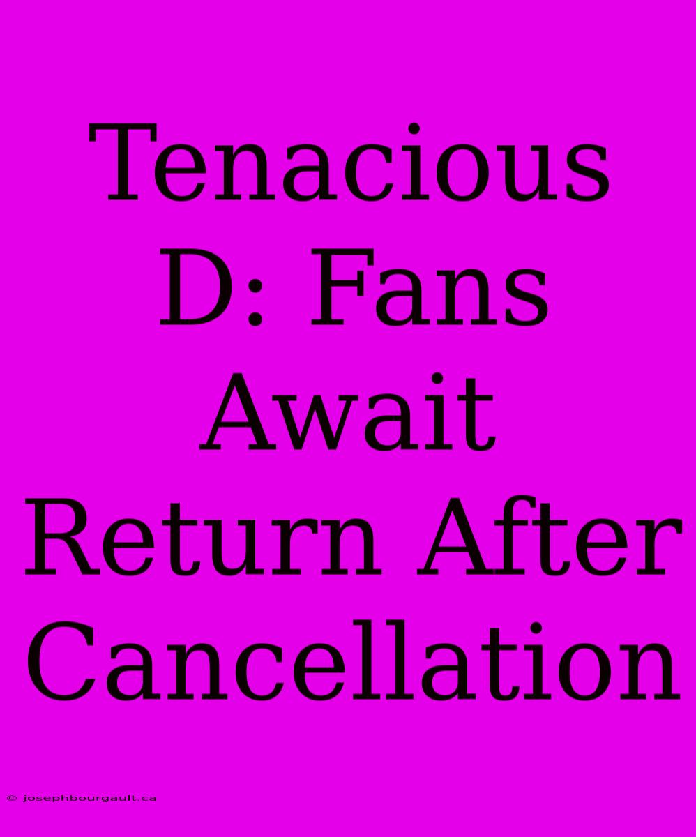 Tenacious D: Fans Await Return After Cancellation