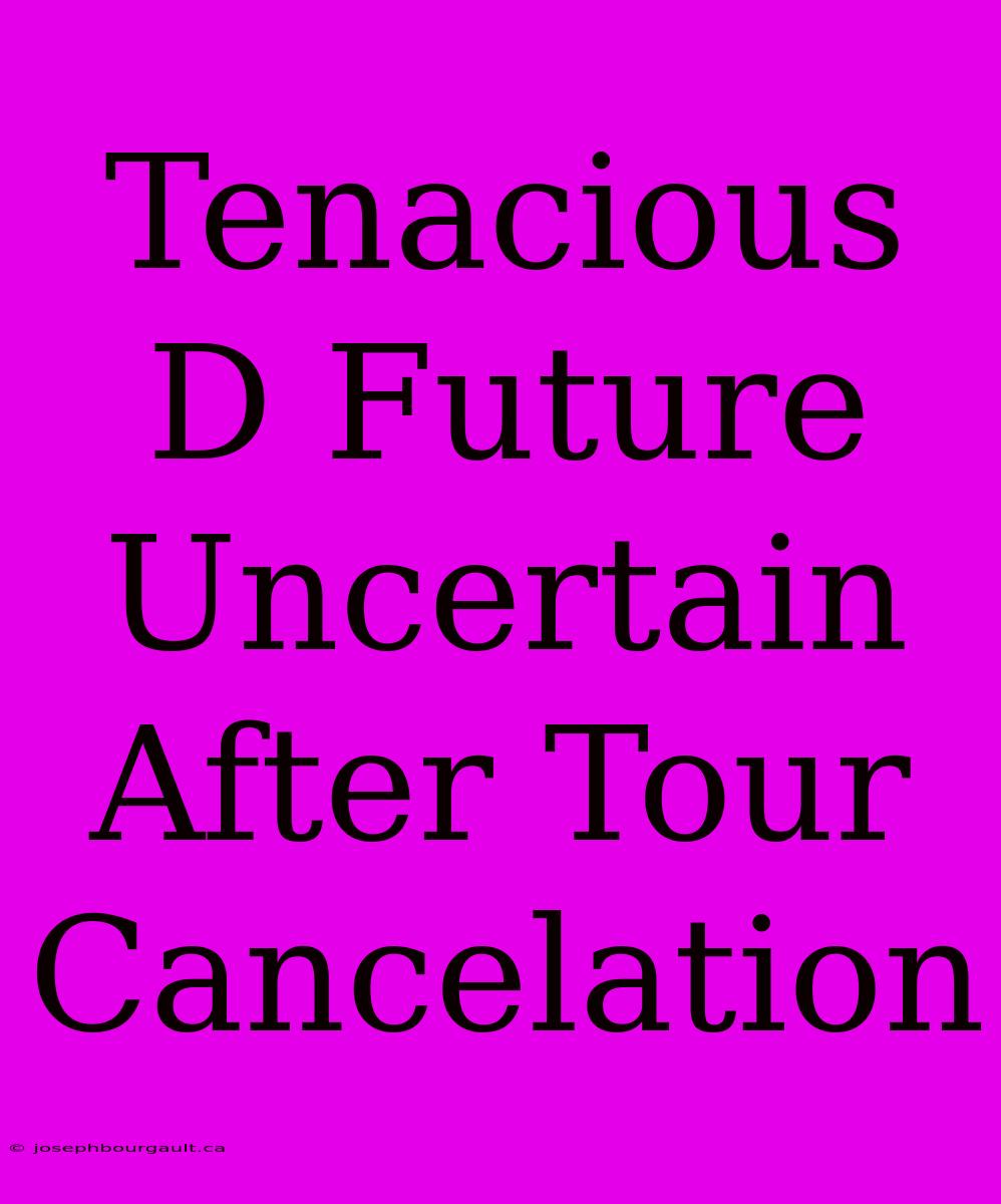 Tenacious D Future Uncertain After Tour Cancelation