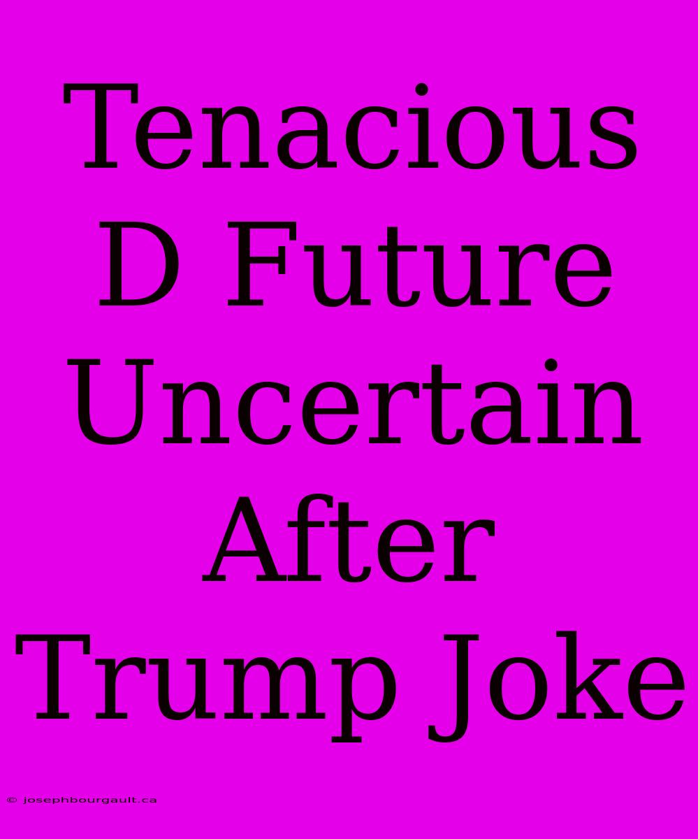 Tenacious D Future Uncertain After Trump Joke