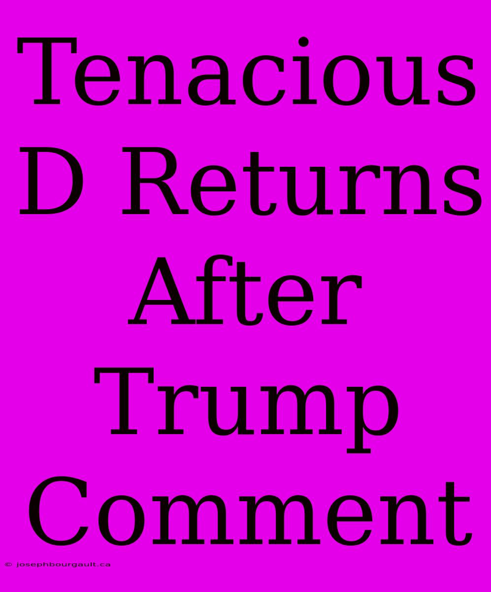 Tenacious D Returns After Trump Comment