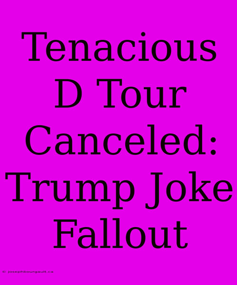 Tenacious D Tour Canceled: Trump Joke Fallout