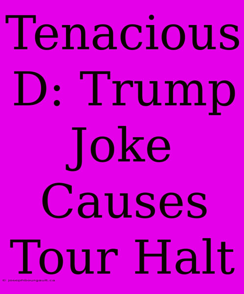 Tenacious D: Trump Joke Causes Tour Halt