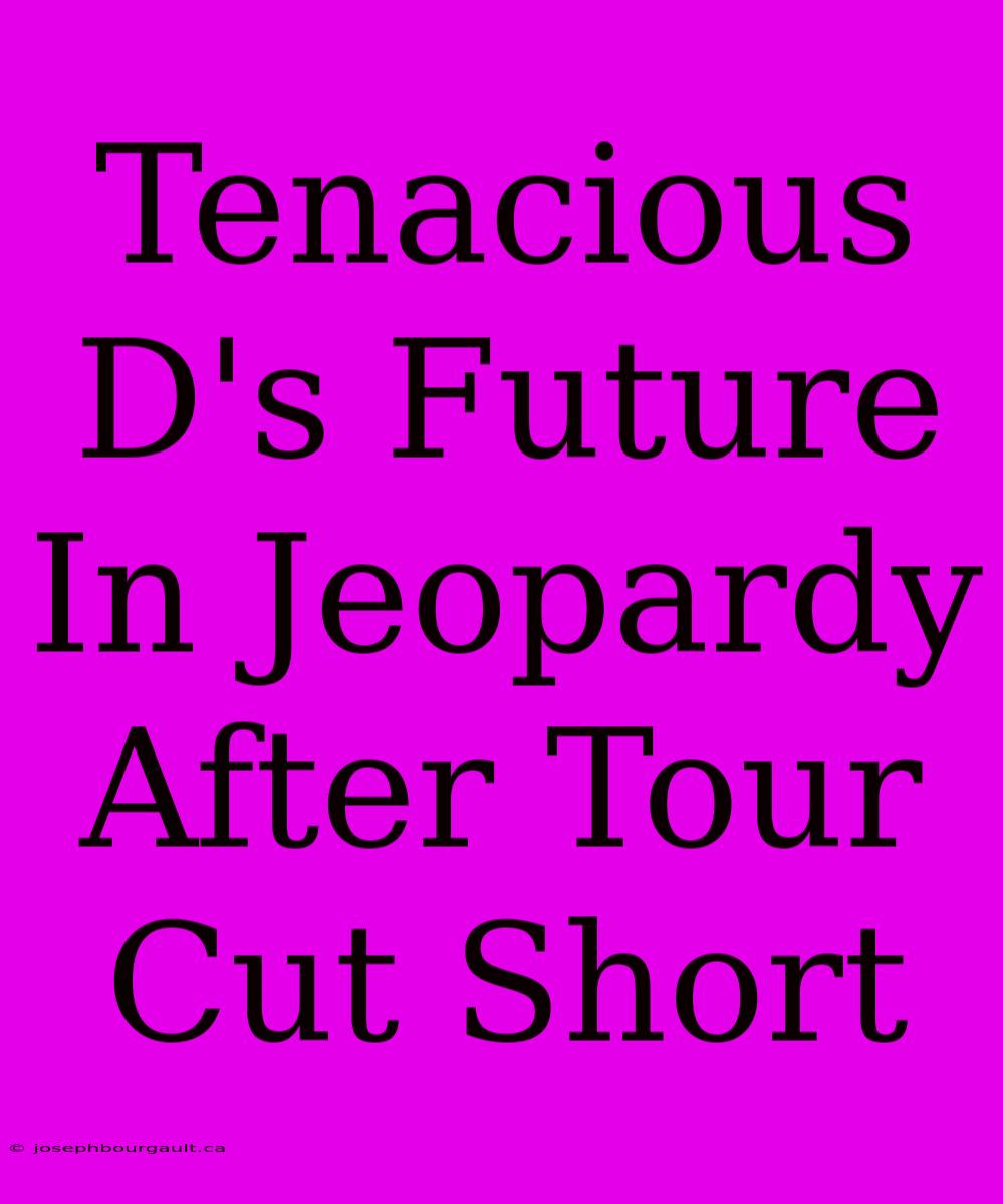 Tenacious D's Future In Jeopardy After Tour Cut Short