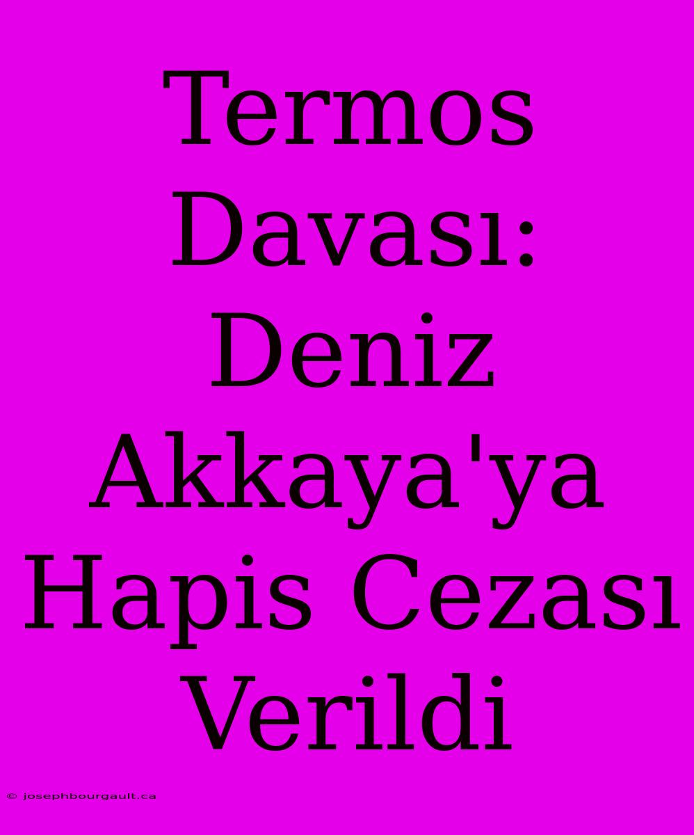 Termos Davası: Deniz Akkaya'ya Hapis Cezası Verildi