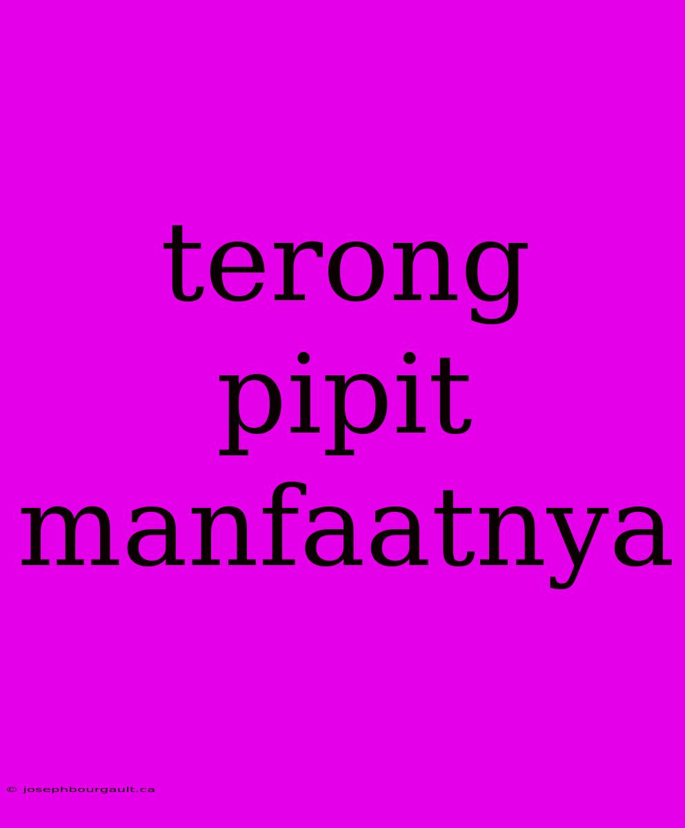 Terong Pipit Manfaatnya