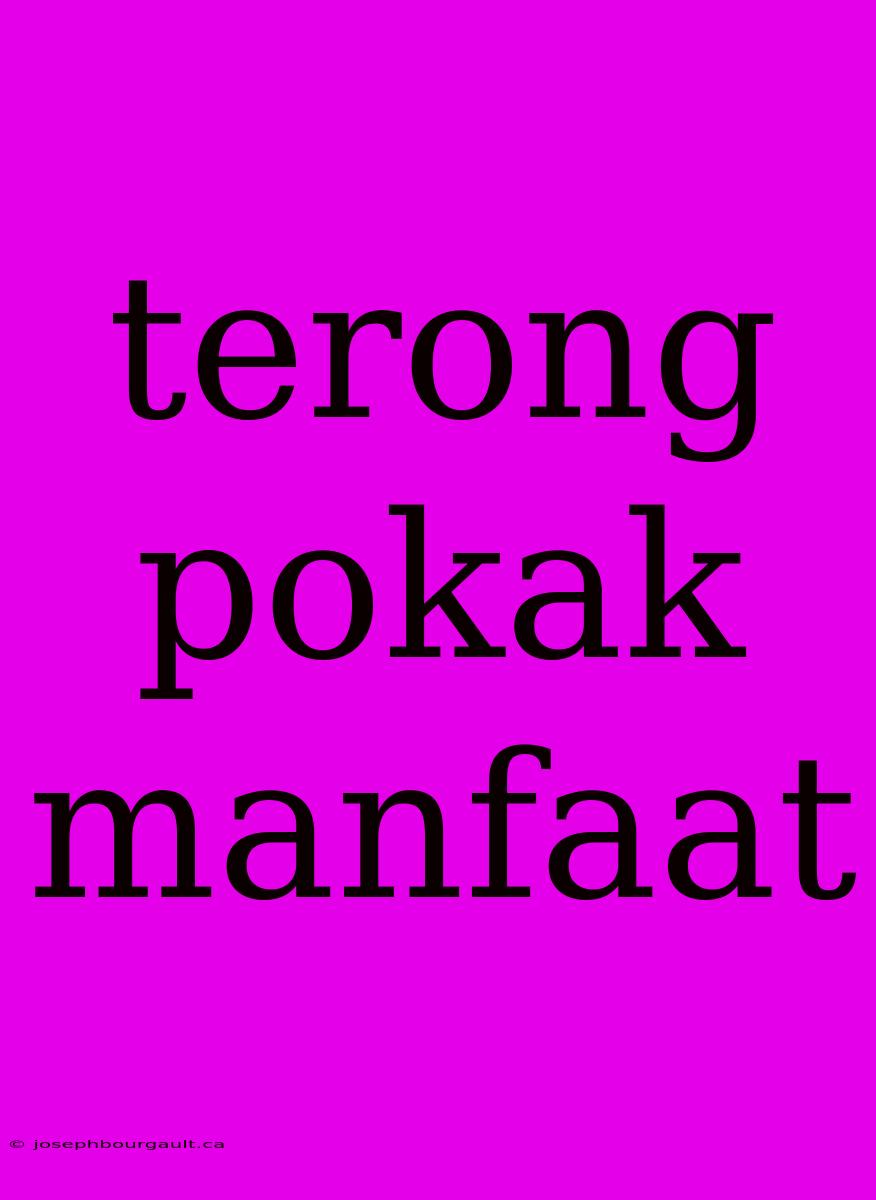 Terong Pokak Manfaat