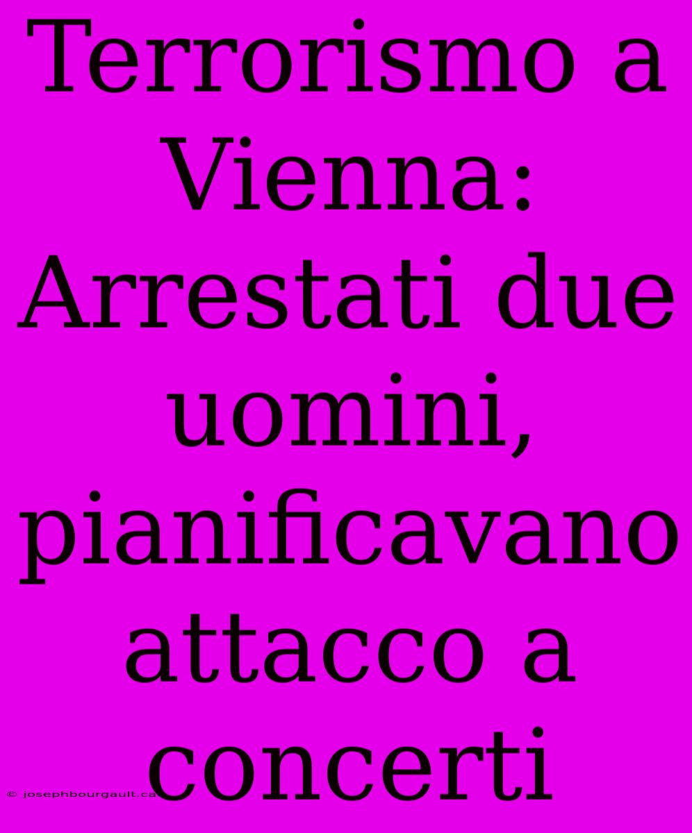 Terrorismo A Vienna: Arrestati Due Uomini, Pianificavano Attacco A Concerti