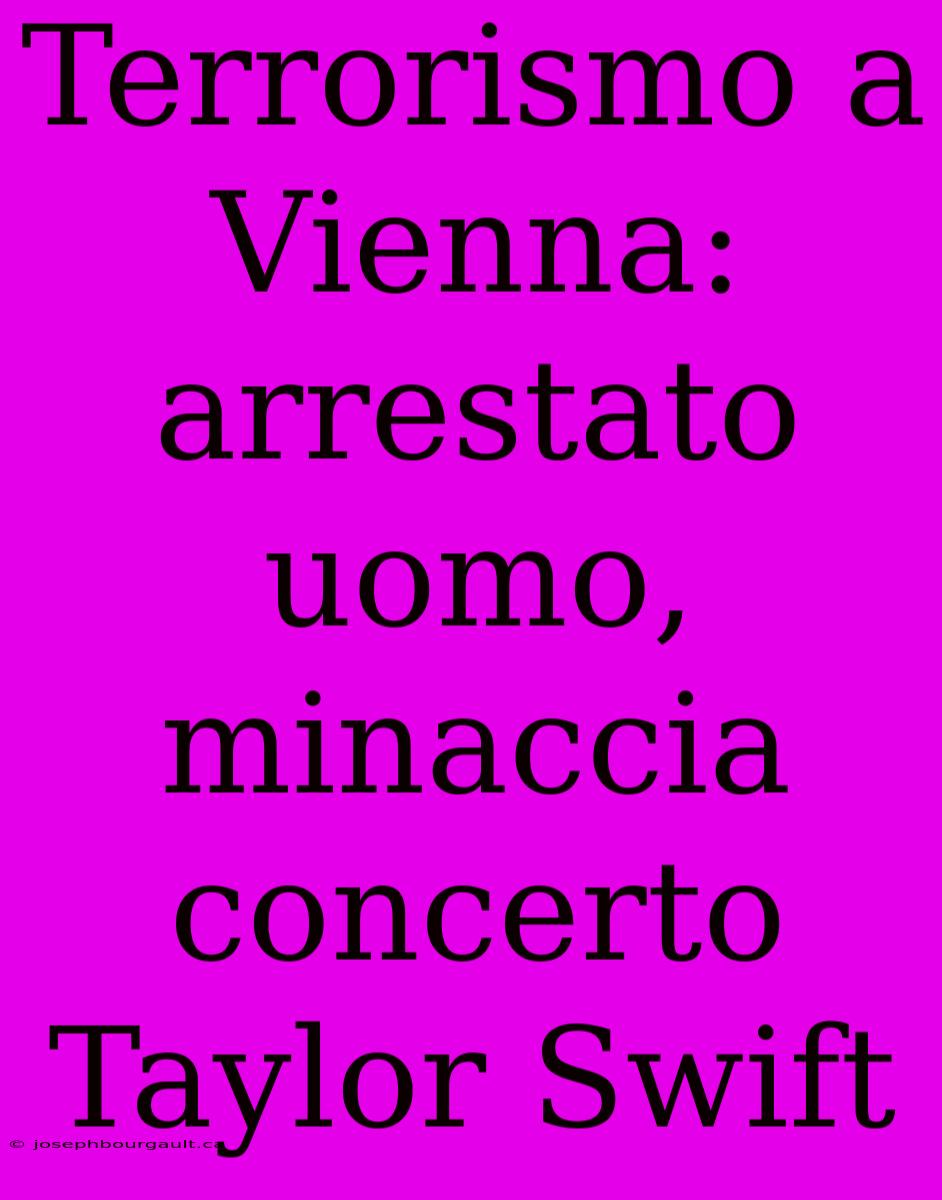 Terrorismo A Vienna: Arrestato Uomo, Minaccia Concerto Taylor Swift