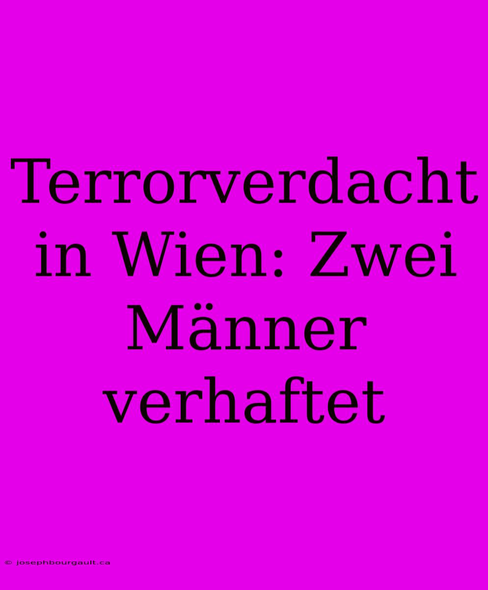 Terrorverdacht In Wien: Zwei Männer Verhaftet