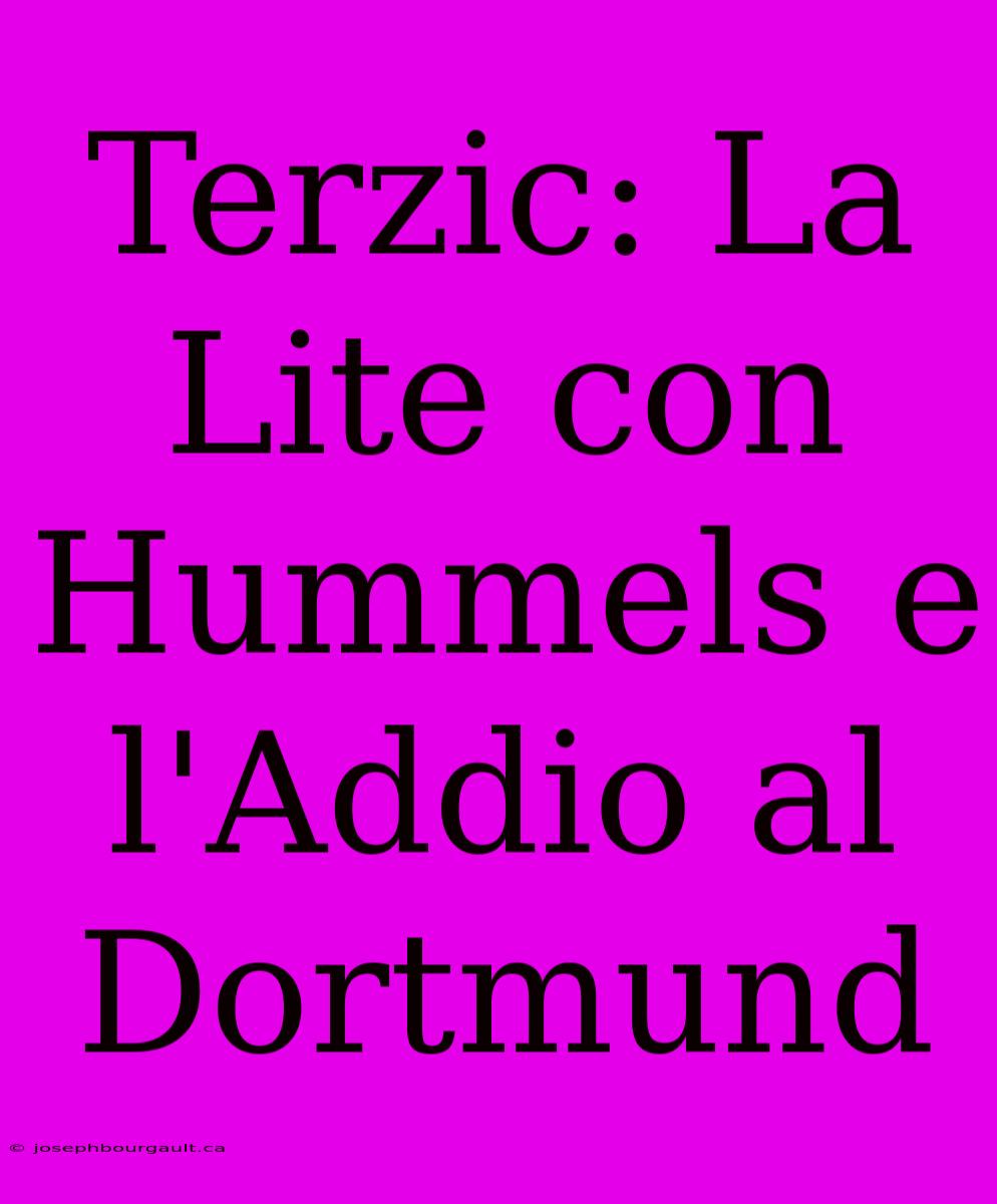 Terzic: La Lite Con Hummels E L'Addio Al Dortmund