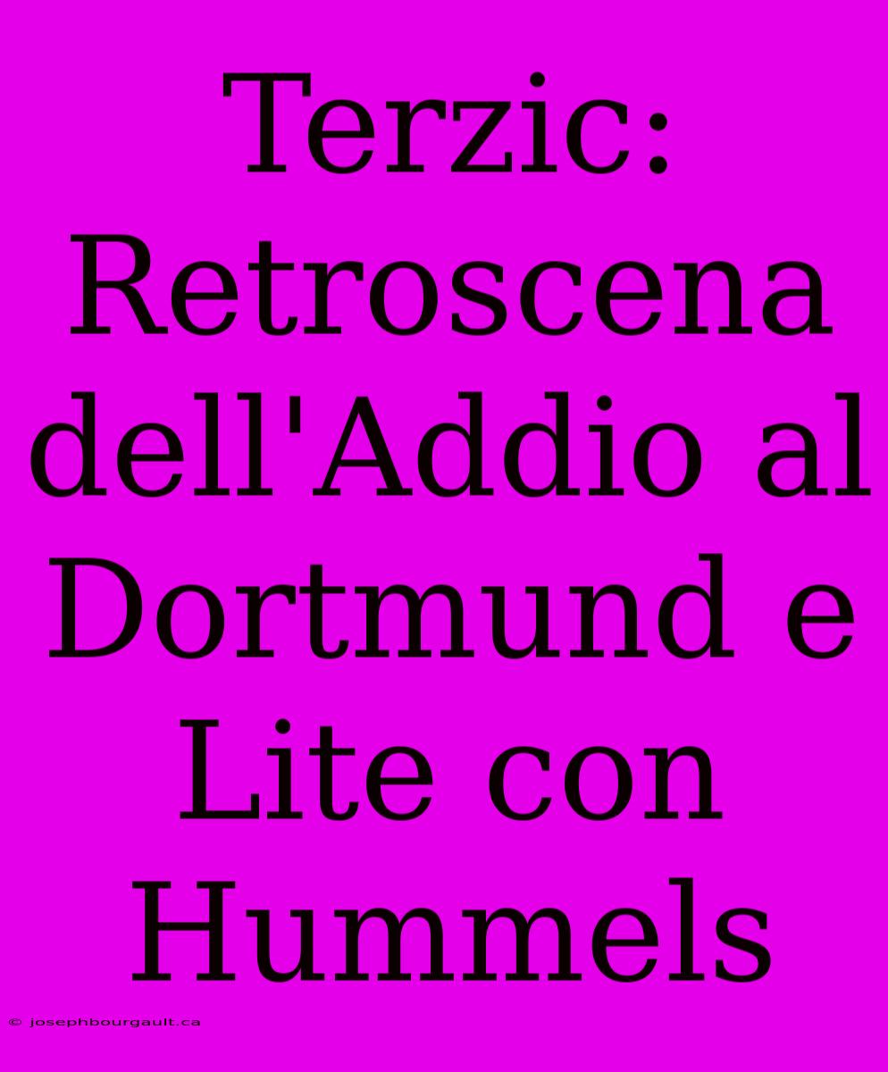 Terzic: Retroscena Dell'Addio Al Dortmund E Lite Con Hummels