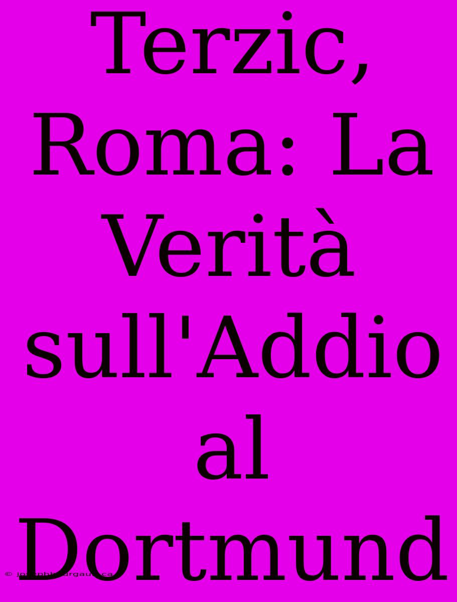 Terzic, Roma: La Verità Sull'Addio Al Dortmund