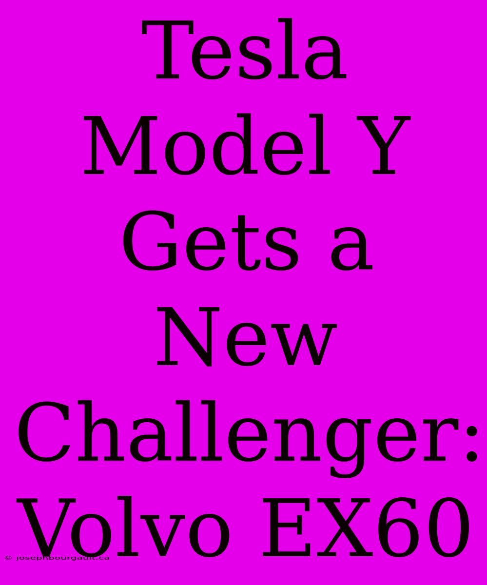 Tesla Model Y Gets A New Challenger: Volvo EX60