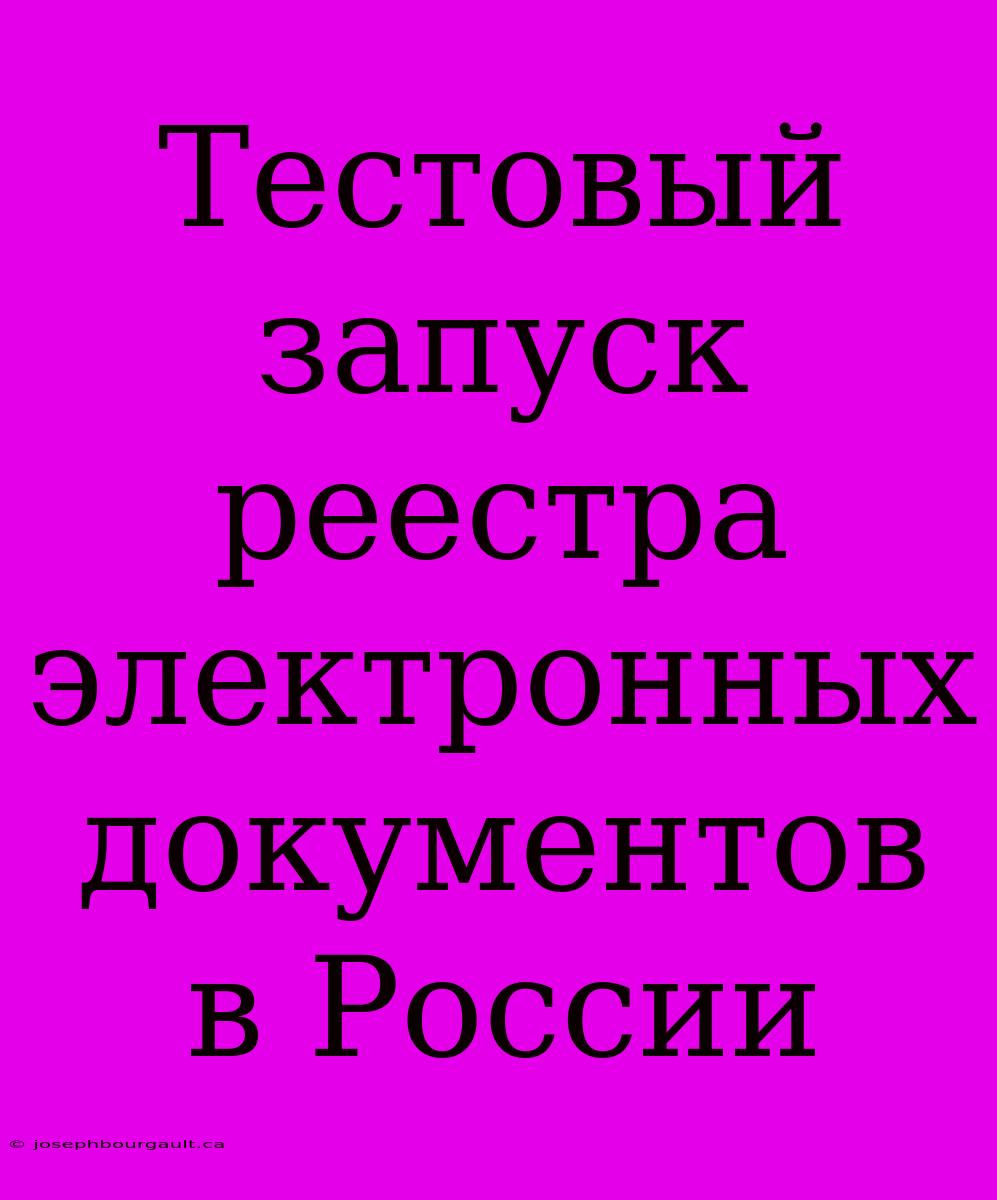 Тестовый Запуск Реестра Электронных Документов В России