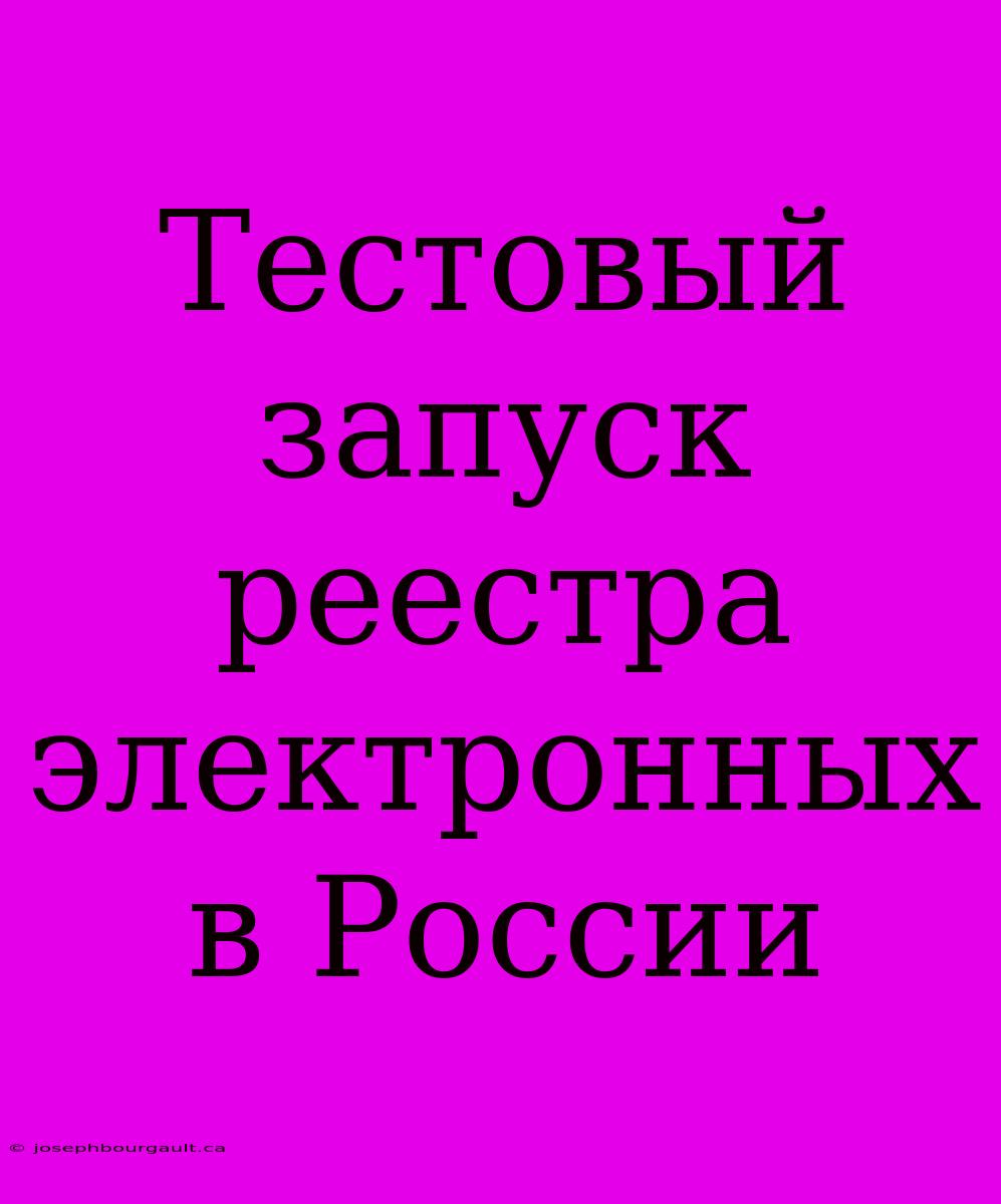 Тестовый Запуск Реестра Электронных В России