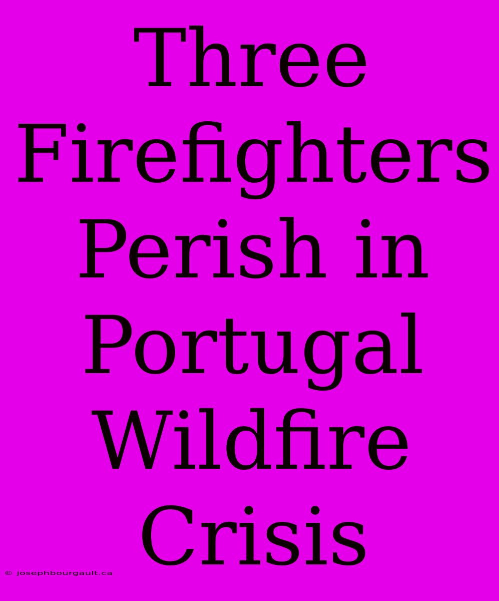 Three Firefighters Perish In Portugal Wildfire Crisis