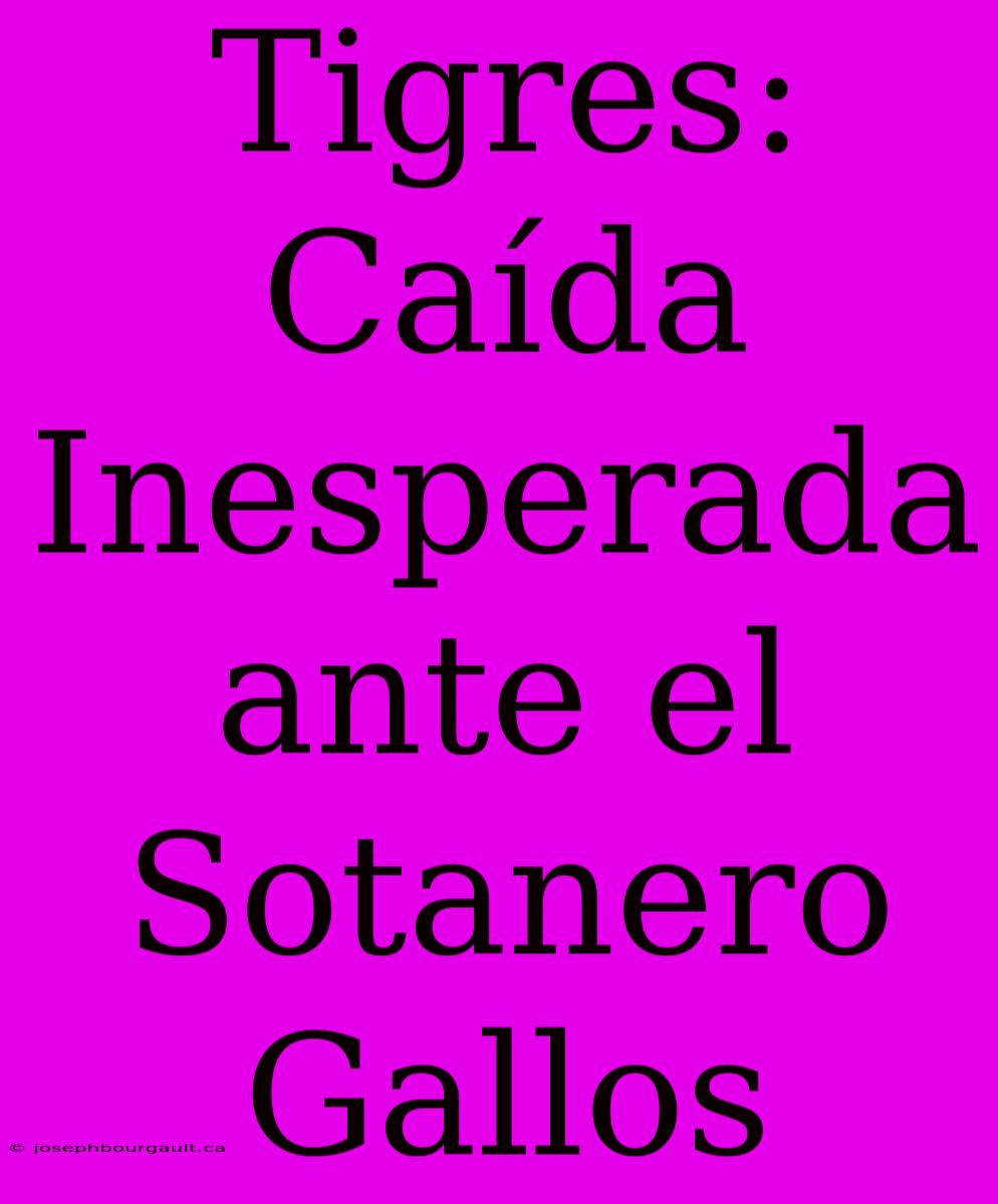 Tigres: Caída Inesperada Ante El Sotanero Gallos