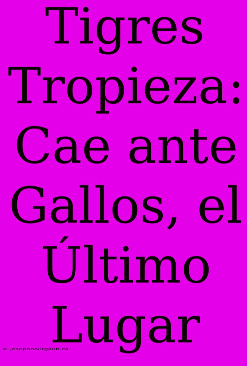 Tigres Tropieza: Cae Ante Gallos, El Último Lugar