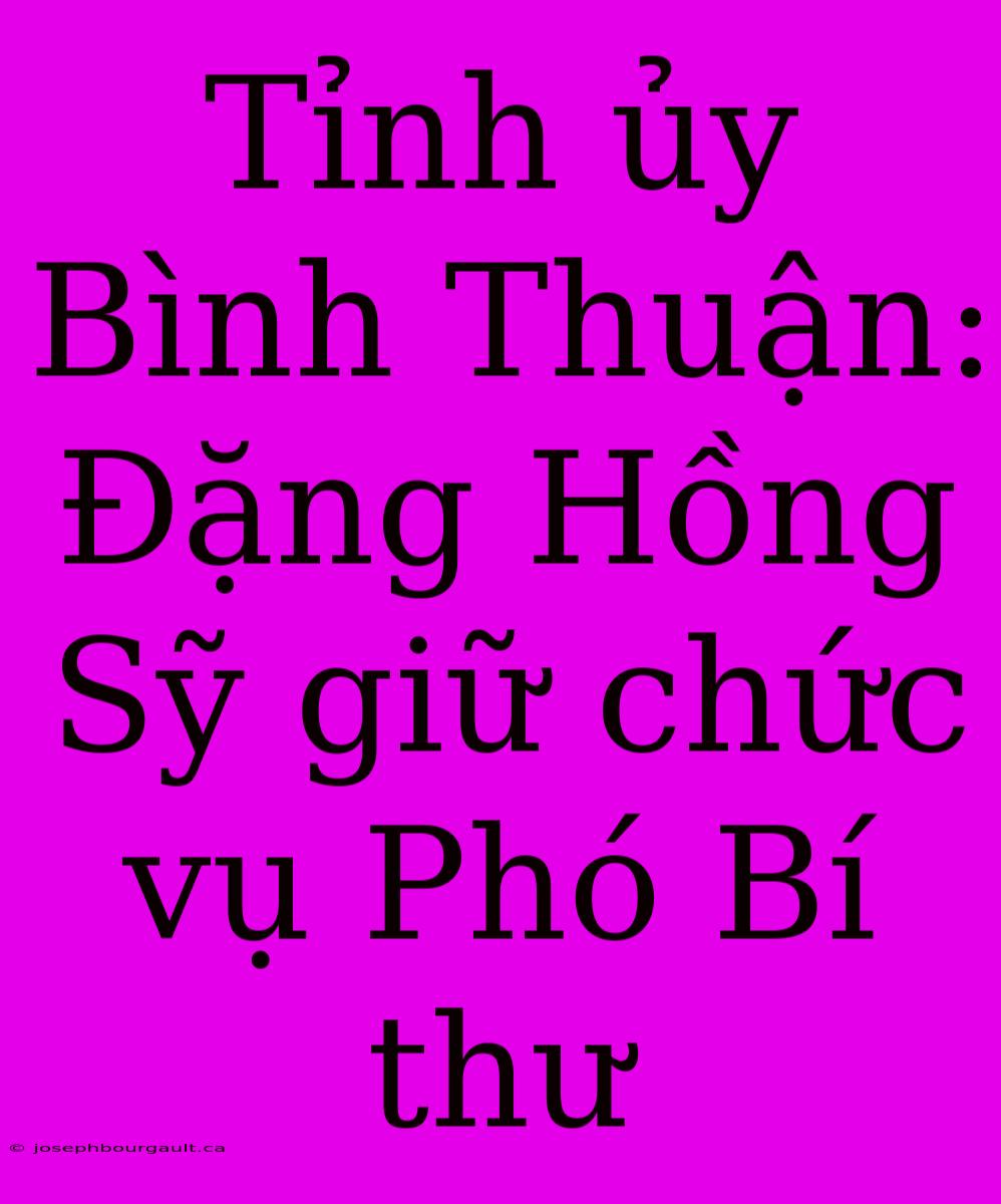 Tỉnh Ủy Bình Thuận: Đặng Hồng Sỹ Giữ Chức Vụ Phó Bí Thư