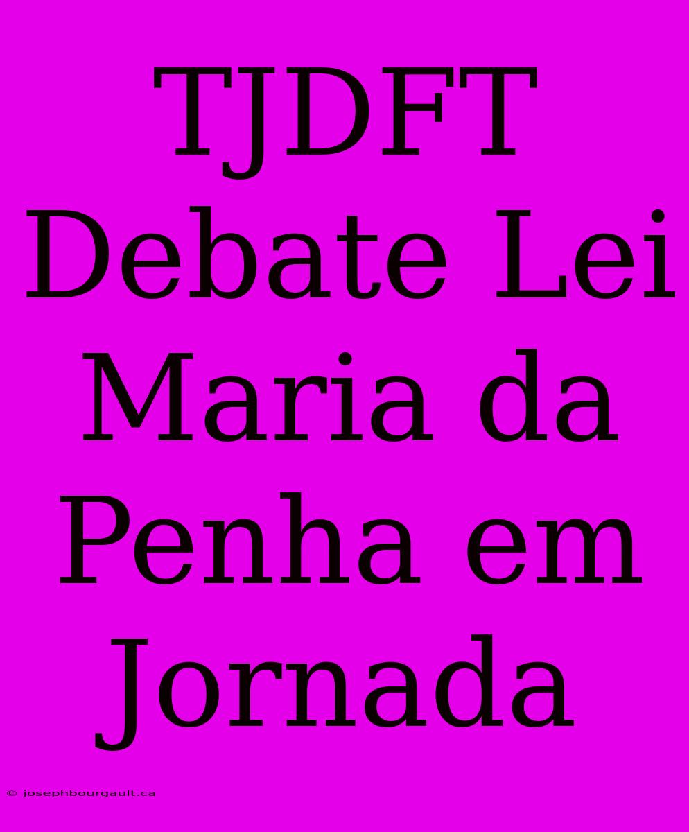 TJDFT Debate Lei Maria Da Penha Em Jornada