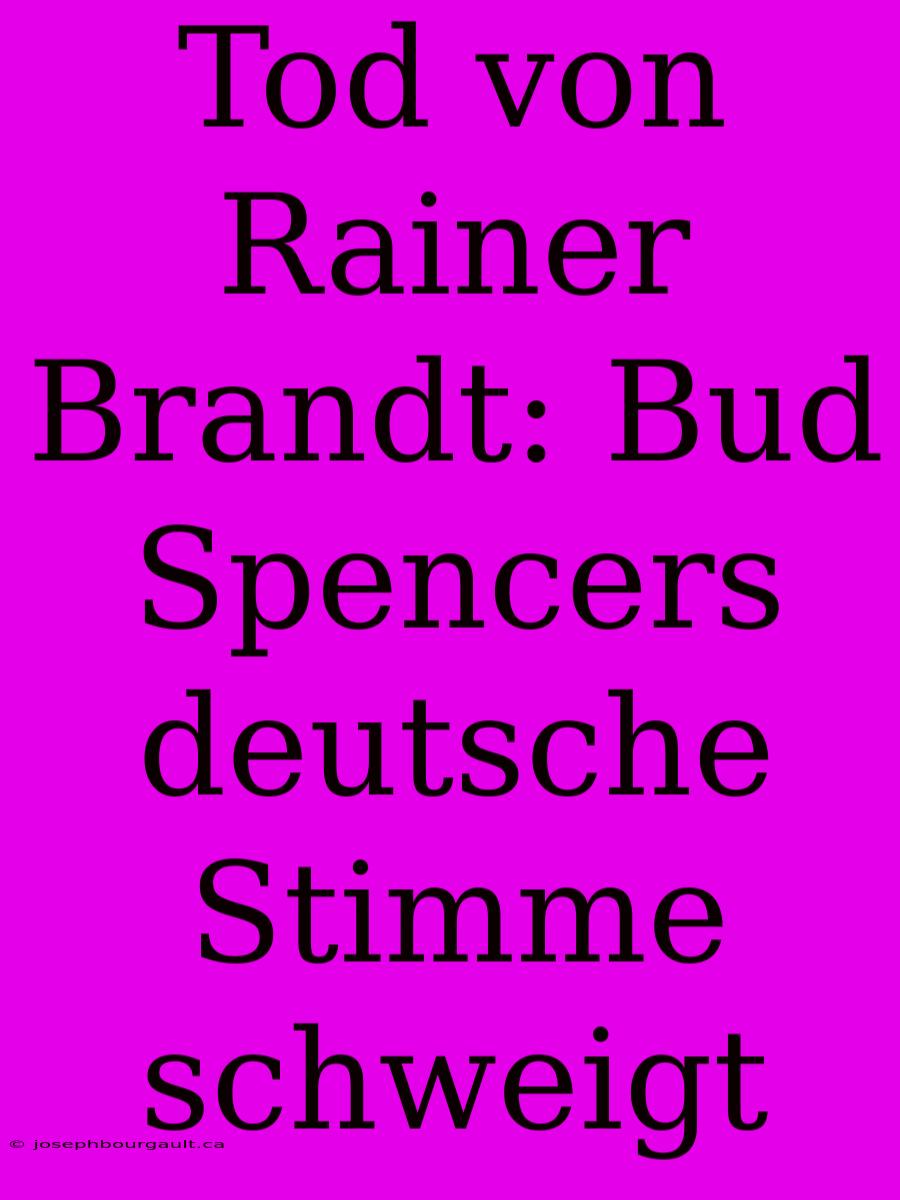 Tod Von Rainer Brandt: Bud Spencers Deutsche Stimme Schweigt