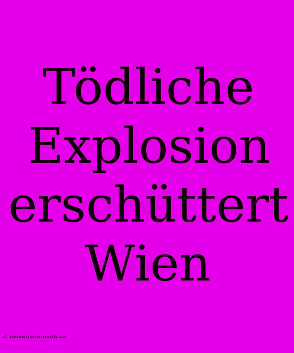 Tödliche Explosion Erschüttert Wien