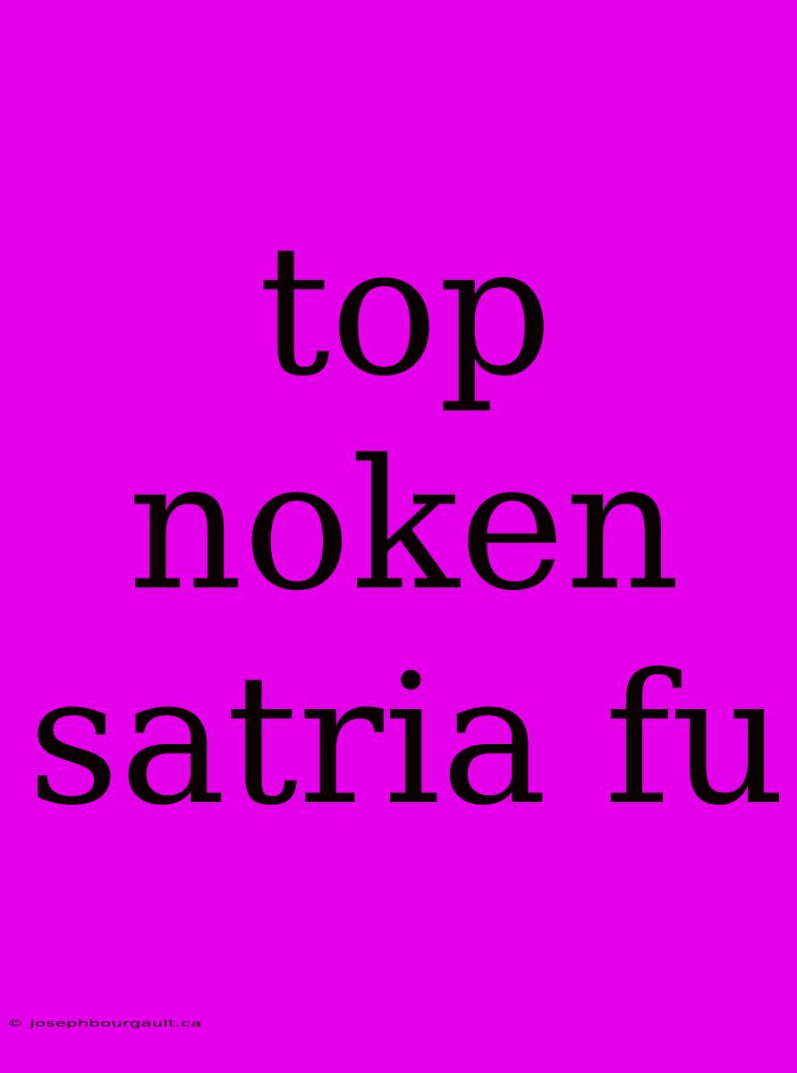 Top Noken Satria Fu