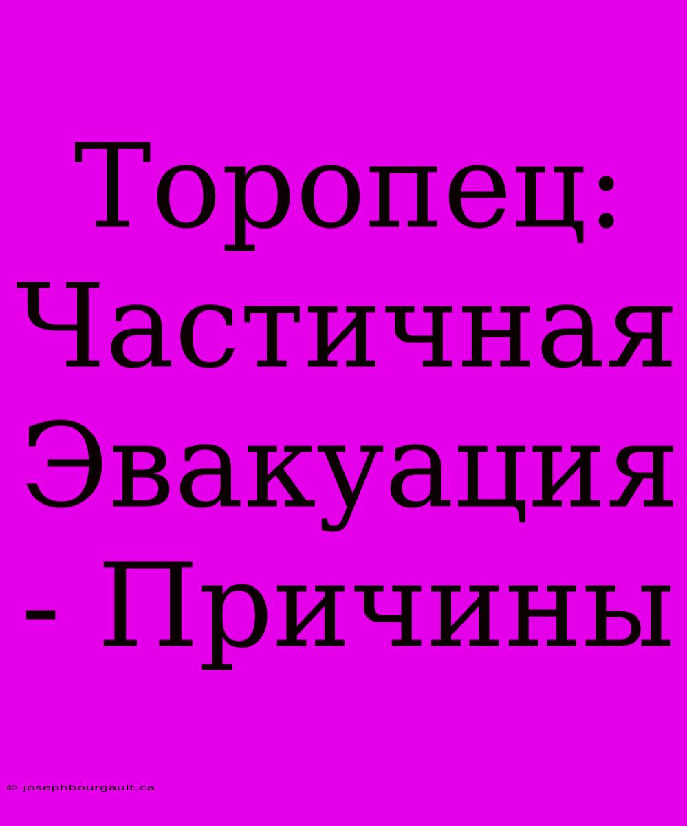 Торопец: Частичная Эвакуация - Причины