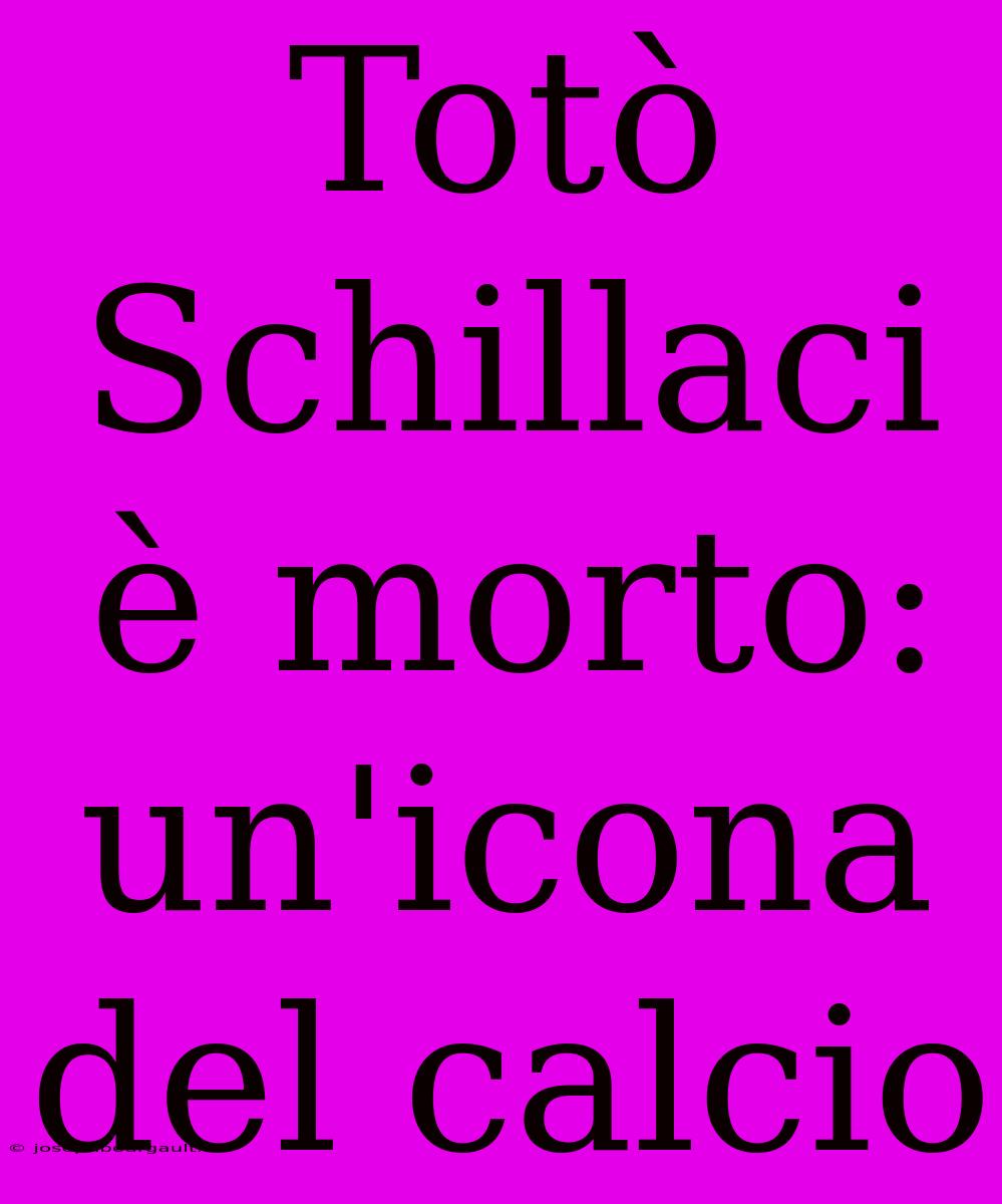 Totò Schillaci È Morto: Un'icona Del Calcio