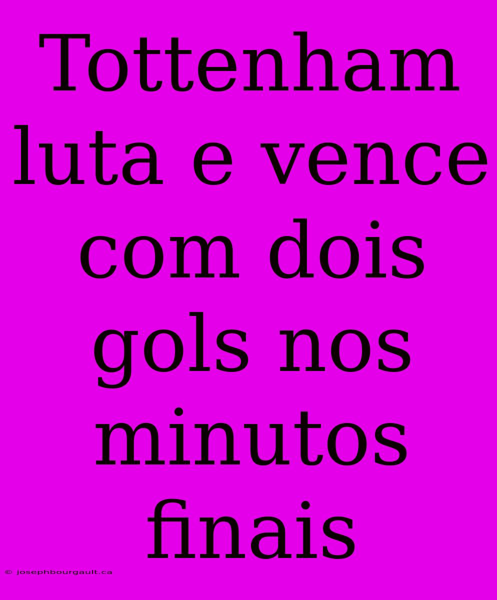 Tottenham Luta E Vence Com Dois Gols Nos Minutos Finais