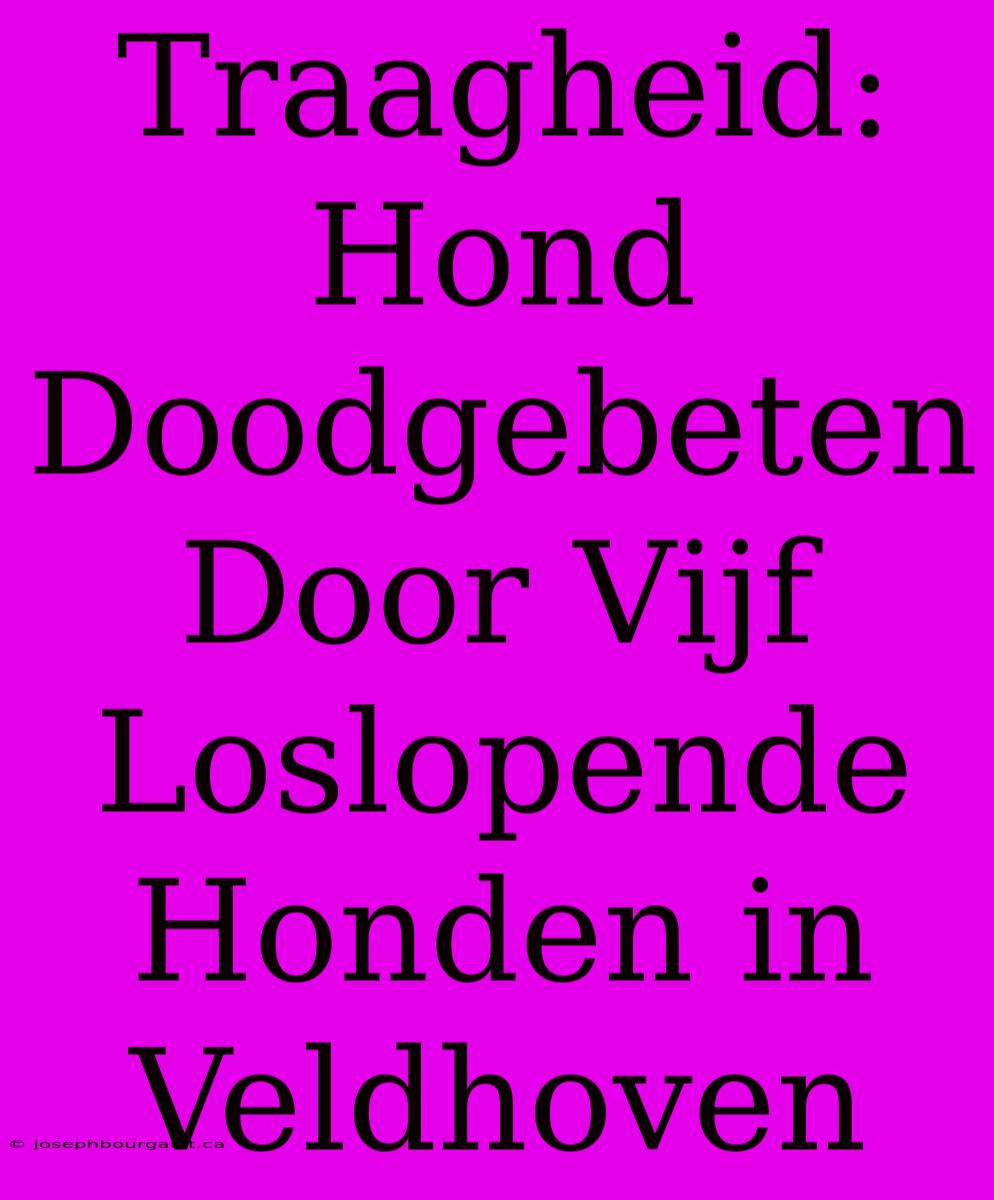 Traagheid: Hond Doodgebeten Door Vijf Loslopende Honden In Veldhoven