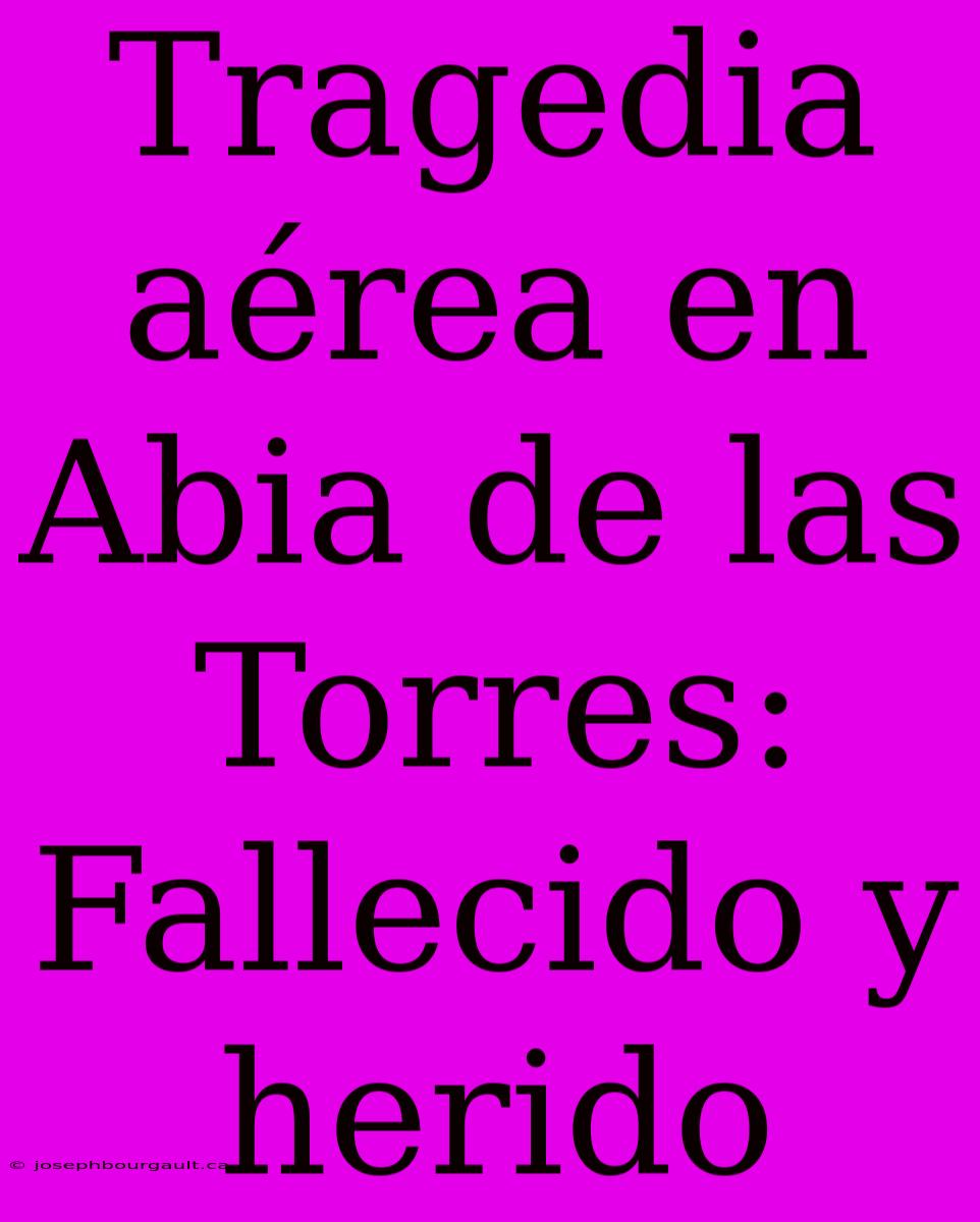 Tragedia Aérea En Abia De Las Torres: Fallecido Y Herido