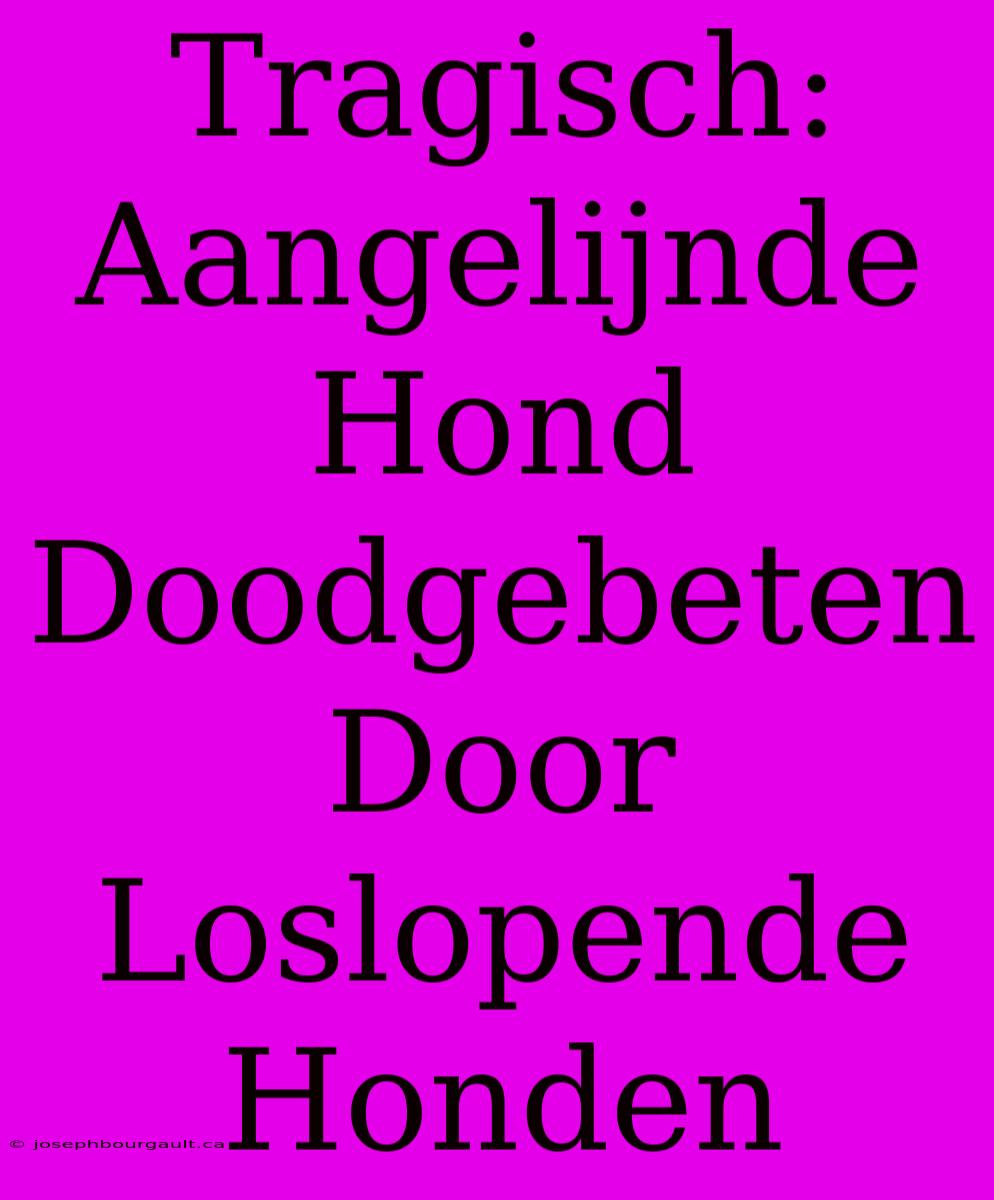 Tragisch: Aangelijnde Hond Doodgebeten Door Loslopende Honden