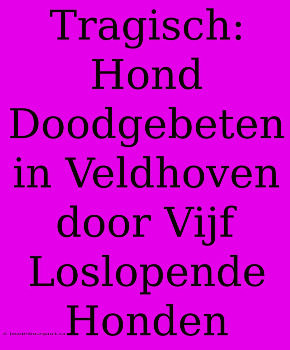 Tragisch: Hond Doodgebeten In Veldhoven Door Vijf Loslopende Honden