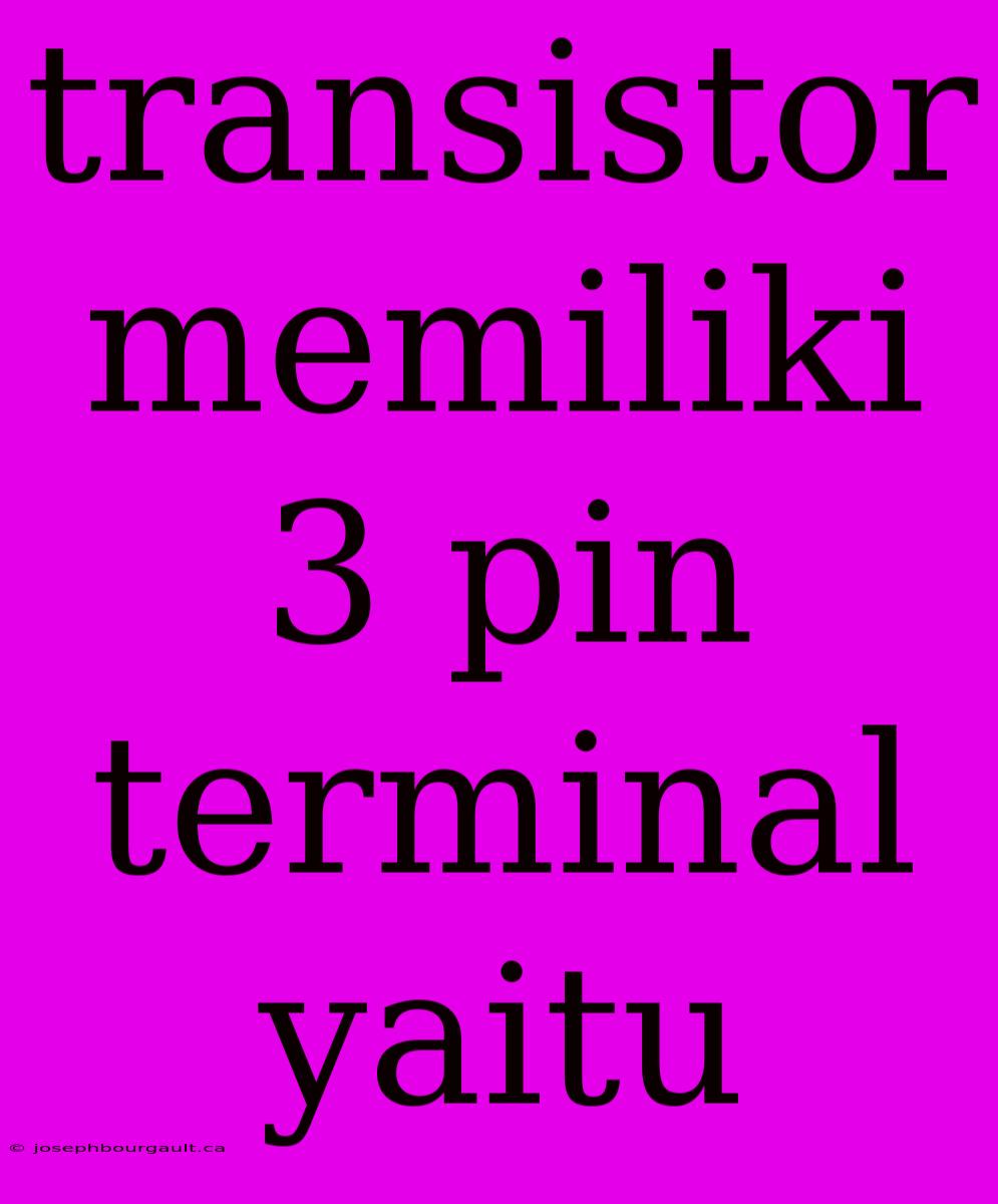 Transistor Memiliki 3 Pin Terminal Yaitu