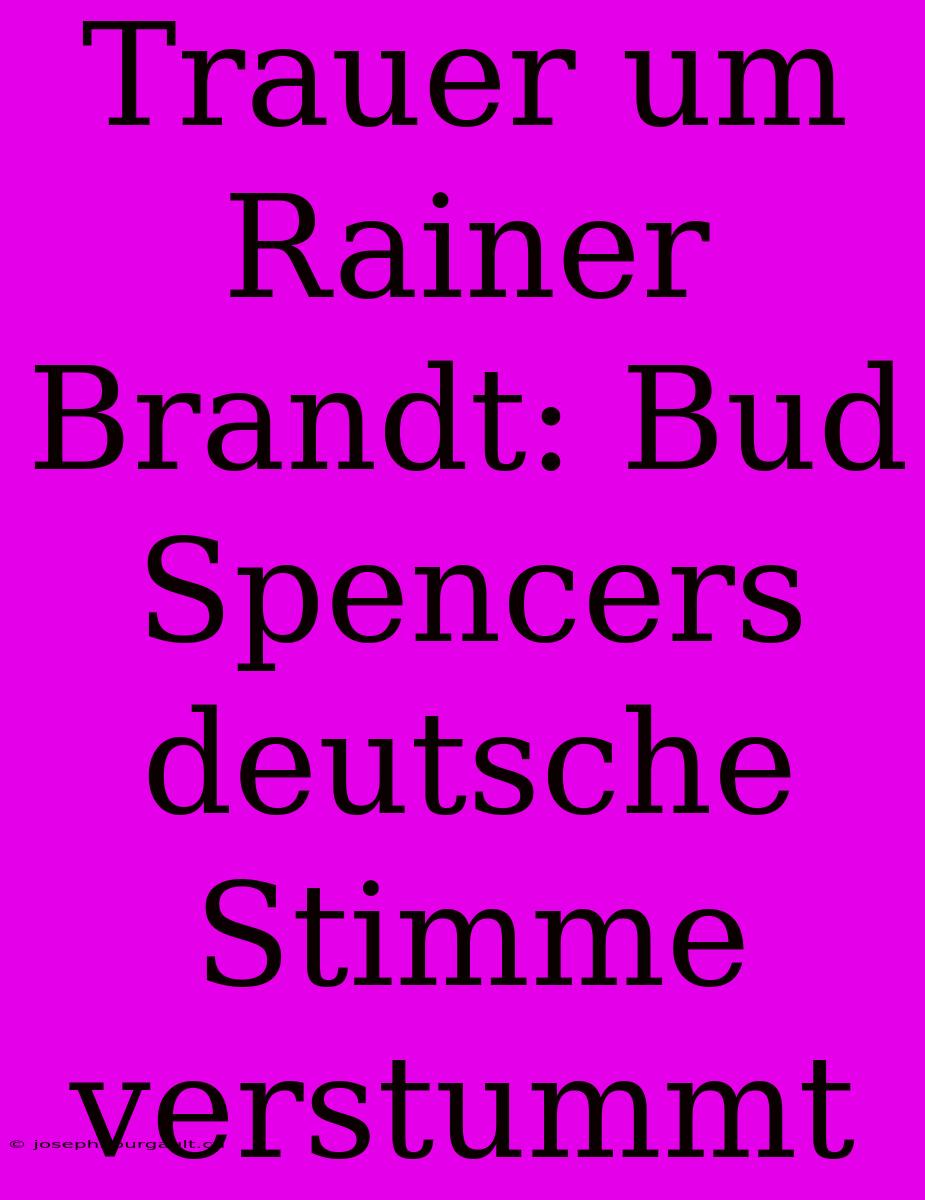 Trauer Um Rainer Brandt: Bud Spencers Deutsche Stimme Verstummt