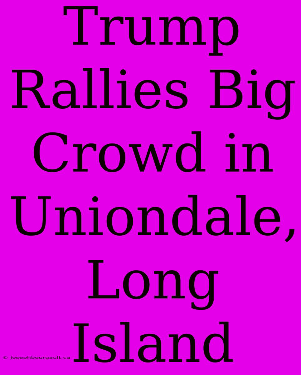 Trump Rallies Big Crowd In Uniondale, Long Island