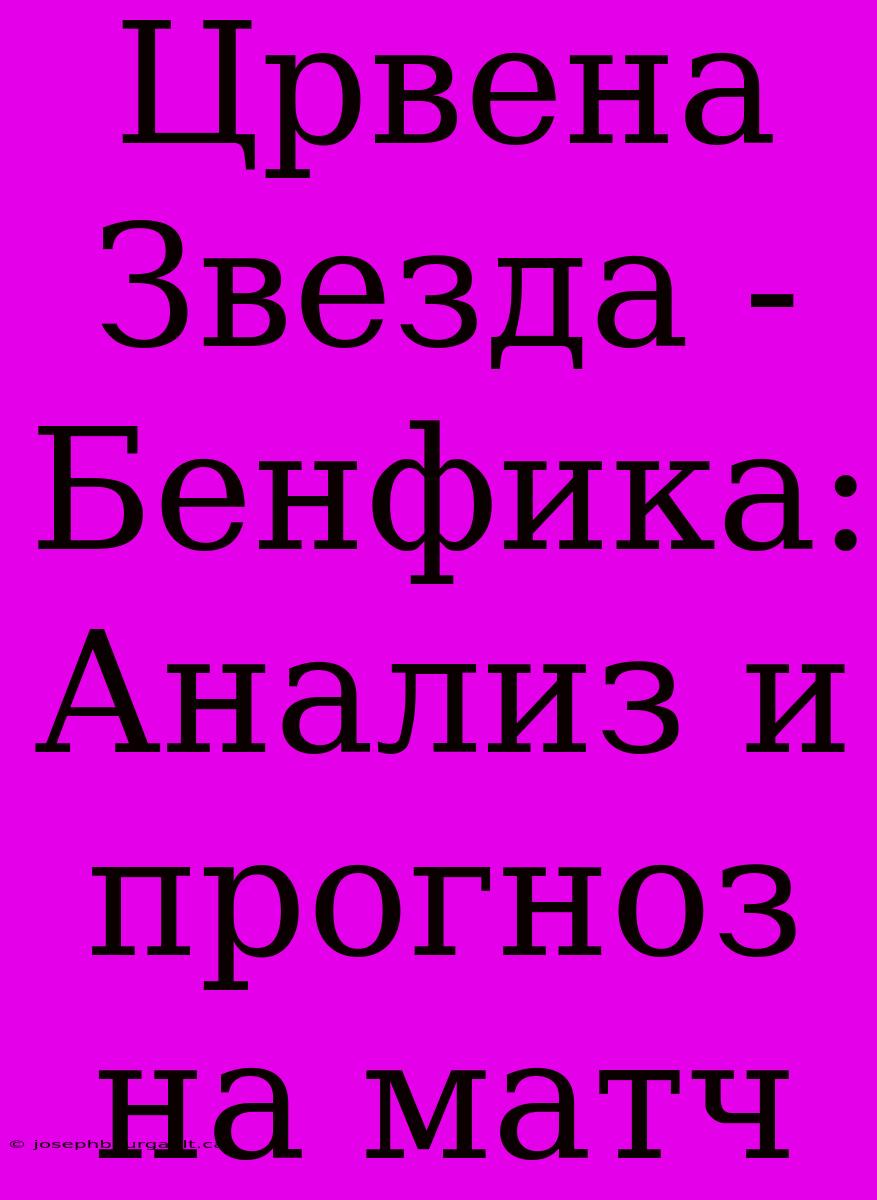 Црвена Звезда - Бенфика: Анализ И Прогноз На Матч