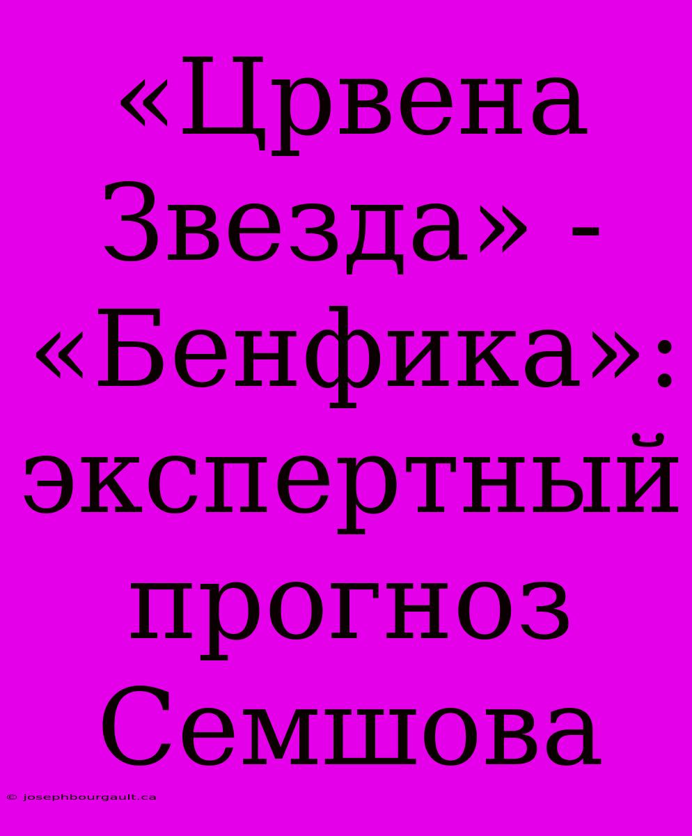 «Црвена Звезда» - «Бенфика»: Экспертный Прогноз Семшова