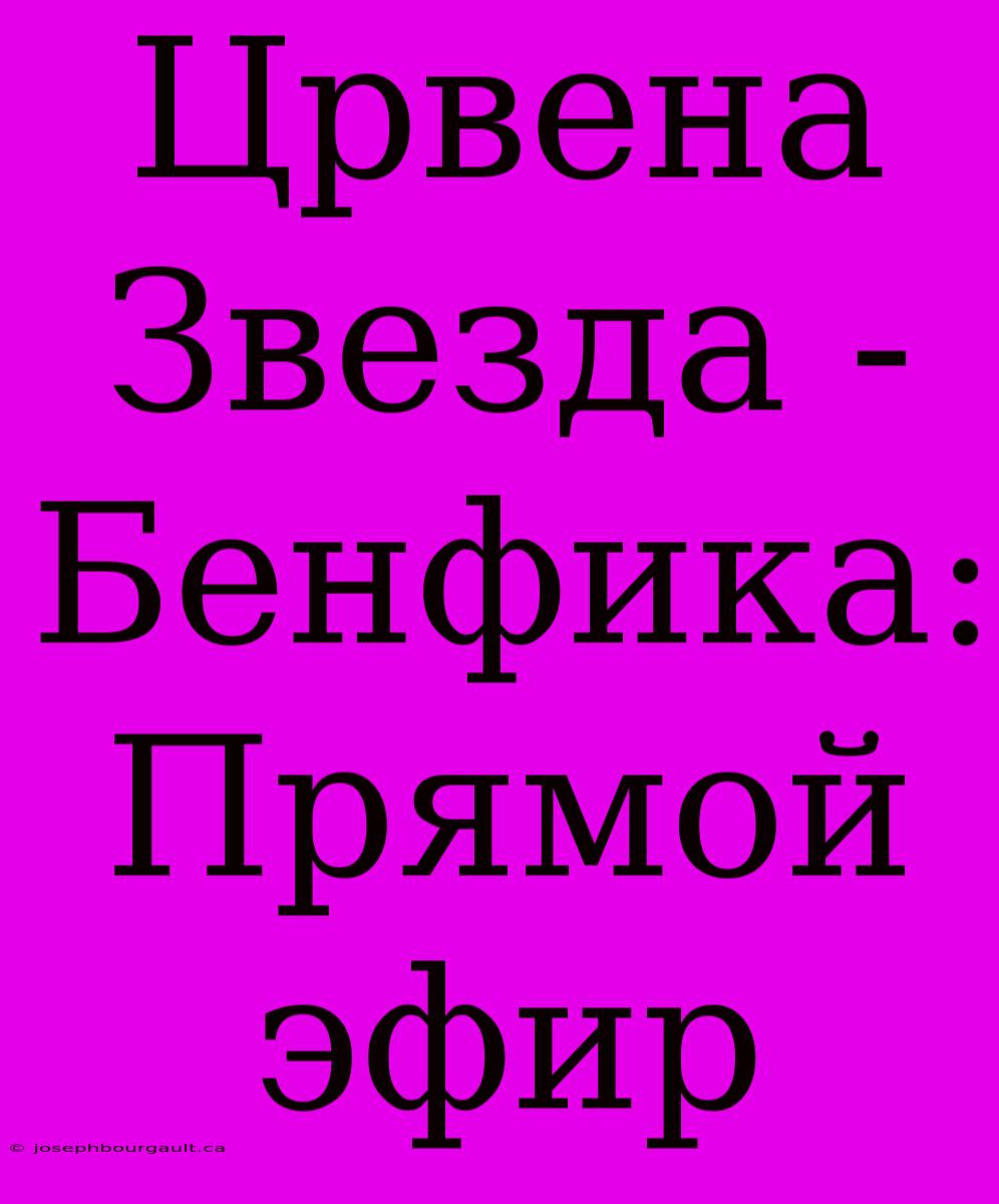 Црвена Звезда - Бенфика: Прямой Эфир