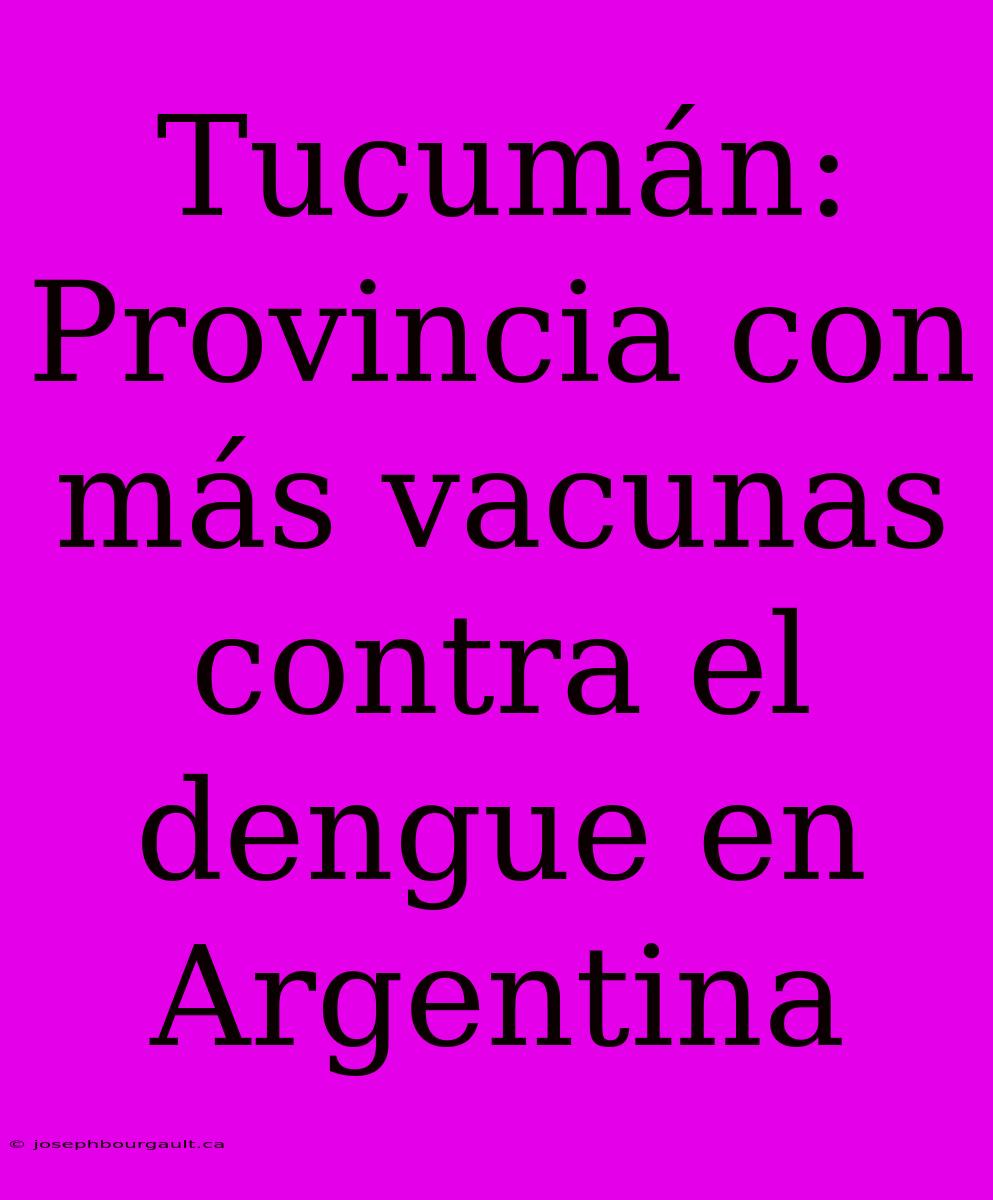 Tucumán: Provincia Con Más Vacunas Contra El Dengue En Argentina